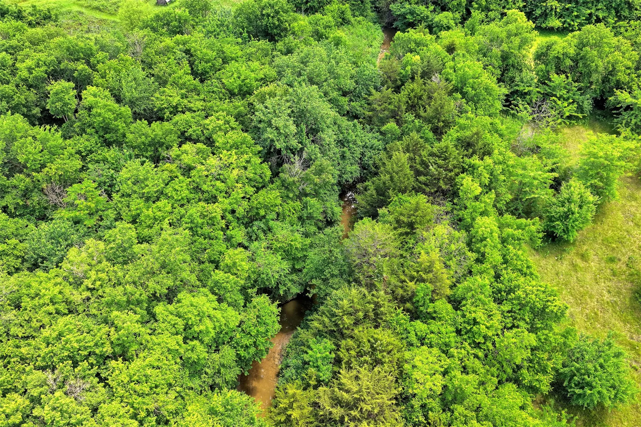 Unimproved Land For Sale in Rockwall County , 00 Dowell Road, Rockwall, Texas 75032, 0, 0, Garage spaces, 0 Sqft, built in 0, Price $650,000, mls#21252037, Real Estate Agent in Rockwall, Homes For Sale in Rockwall county, Homes For Sale in Rockwall, Realtor in Rockwall Texas, Real Estate Brokerage Independent Realty Texas, Luminita Cordes Realtor