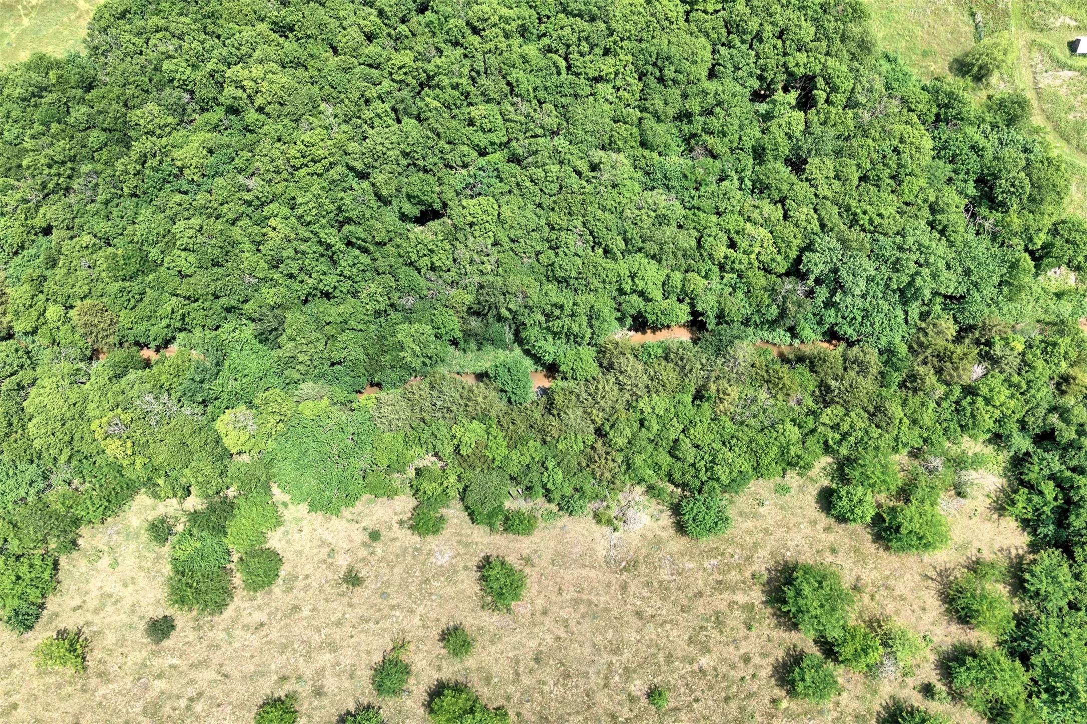 Unimproved Land For Sale in Rockwall County , 00 Dowell Road, Rockwall, Texas 75032, 0, 0, Garage spaces, 0 Sqft, built in 0, Price $650,000, mls#21252037, Real Estate Agent in Rockwall, Homes For Sale in Rockwall county, Homes For Sale in Rockwall, Realtor in Rockwall Texas, Real Estate Brokerage Independent Realty Texas, Luminita Cordes Realtor