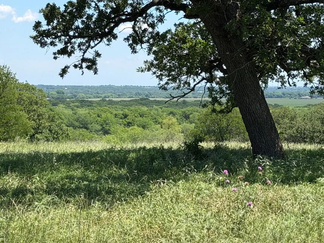 Improved Land For Sale in Hill County , 2041 FM933, Aquilla, Texas 76622, 0, 0, Garage spaces, 0 Sqft, built in 0, Price $345,900, mls#21268651, Real Estate Agent in Aquilla, Homes For Sale in Hill county, Homes For Sale in Aquilla, Realtor in Aquilla Texas, Real Estate Brokerage Independent Realty Texas, Luminita Cordes Realtor