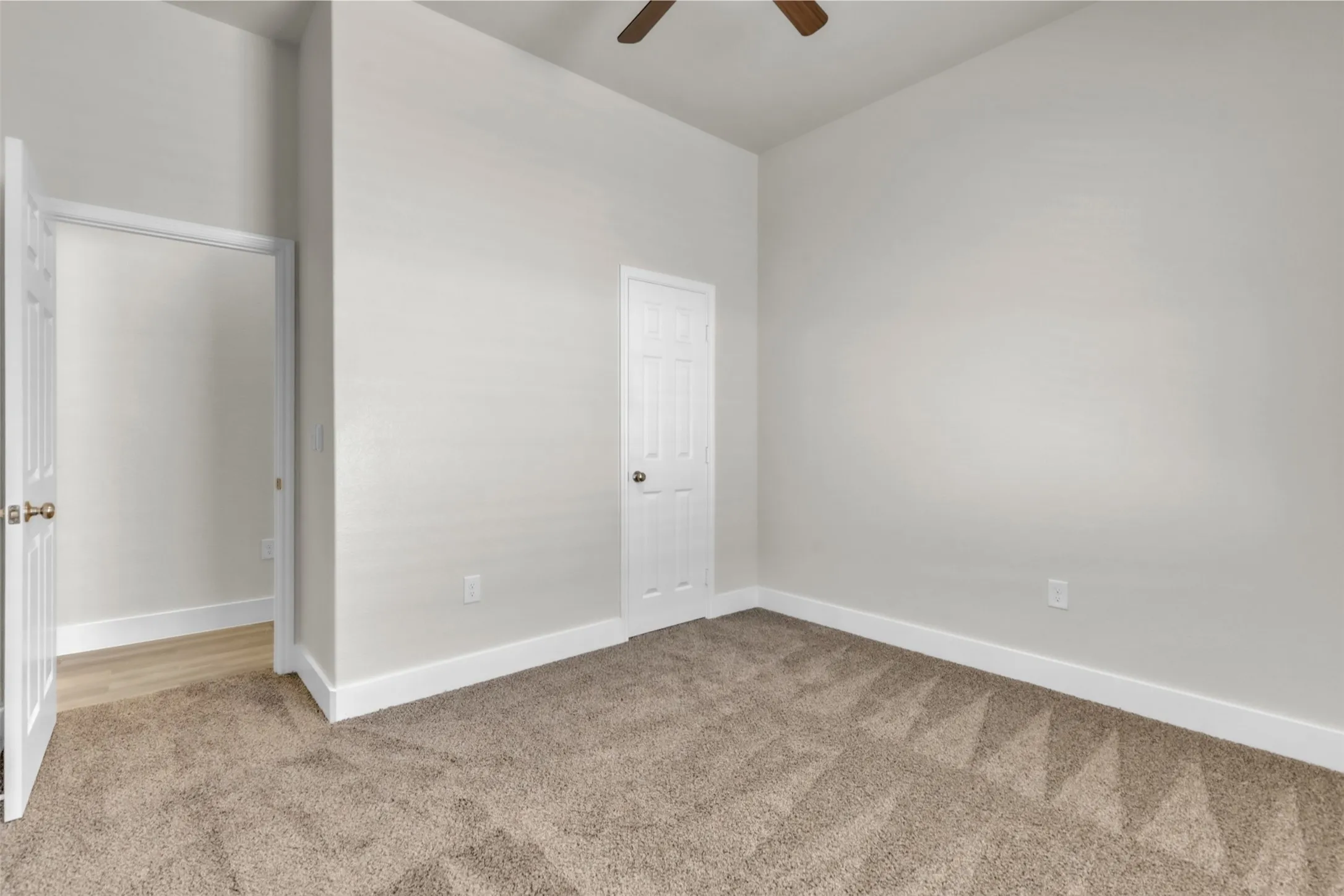 Tall ceilings throughout