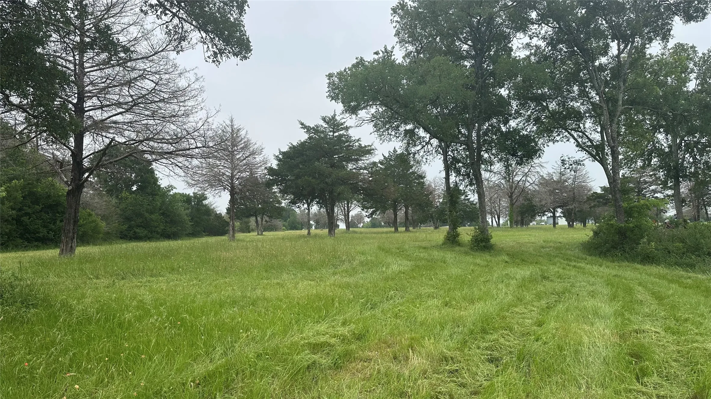 Business For Sale in Limestone County , 2596A Highway 84 W, Mexia, Texas 76667, 0, 0, Garage spaces, 0 Sqft, built in 1985, Price $775,000, mls#21268721, Real Estate Agent in Mexia, Homes For Sale in Limestone county, Homes For Sale in Mexia, Realtor in Mexia Texas, Real Estate Brokerage Independent Realty Texas, Luminita Cordes Realtor