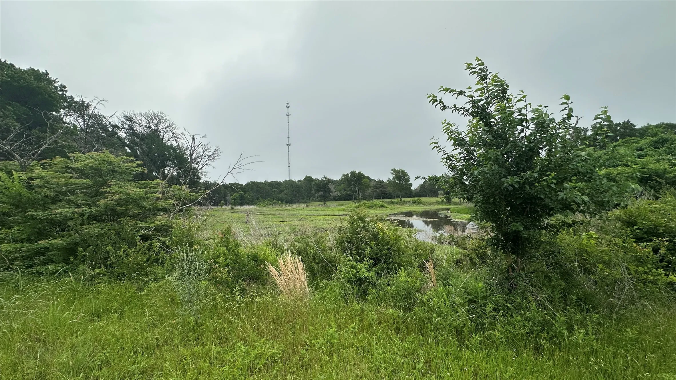 Business For Sale in Limestone County , 2596A Highway 84 W, Mexia, Texas 76667, 0, 0, Garage spaces, 0 Sqft, built in 1985, Price $775,000, mls#21268721, Real Estate Agent in Mexia, Homes For Sale in Limestone county, Homes For Sale in Mexia, Realtor in Mexia Texas, Real Estate Brokerage Independent Realty Texas, Luminita Cordes Realtor