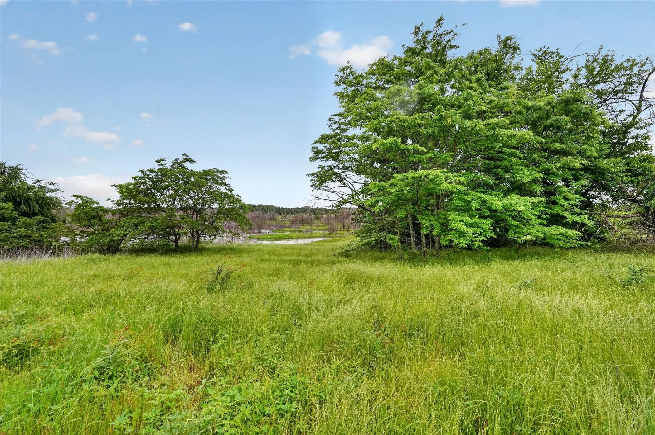 Unimproved Land For Sale in Fannin County , 0000 County Road 2610, Bonham, Texas 75418, 0, 0, Garage spaces, 0 Sqft, built in 0, mls#21257205, Real Estate Agent in Bonham, Homes For Sale in Fannin county, Homes For Sale in Bonham, Realtor in Bonham Texas, Real Estate Brokerage Independent Realty Texas, Luminita Cordes Realtor