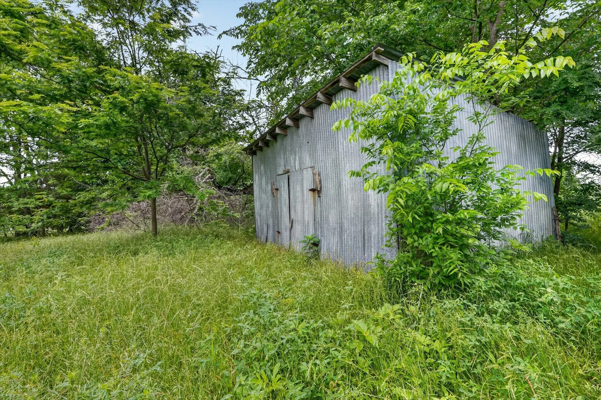 Unimproved Land For Sale in Fannin County , 0000 County Road 2610, Bonham, Texas 75418, 0, 0, Garage spaces, 0 Sqft, built in 0, mls#21257205, Real Estate Agent in Bonham, Homes For Sale in Fannin county, Homes For Sale in Bonham, Realtor in Bonham Texas, Real Estate Brokerage Independent Realty Texas, Luminita Cordes Realtor