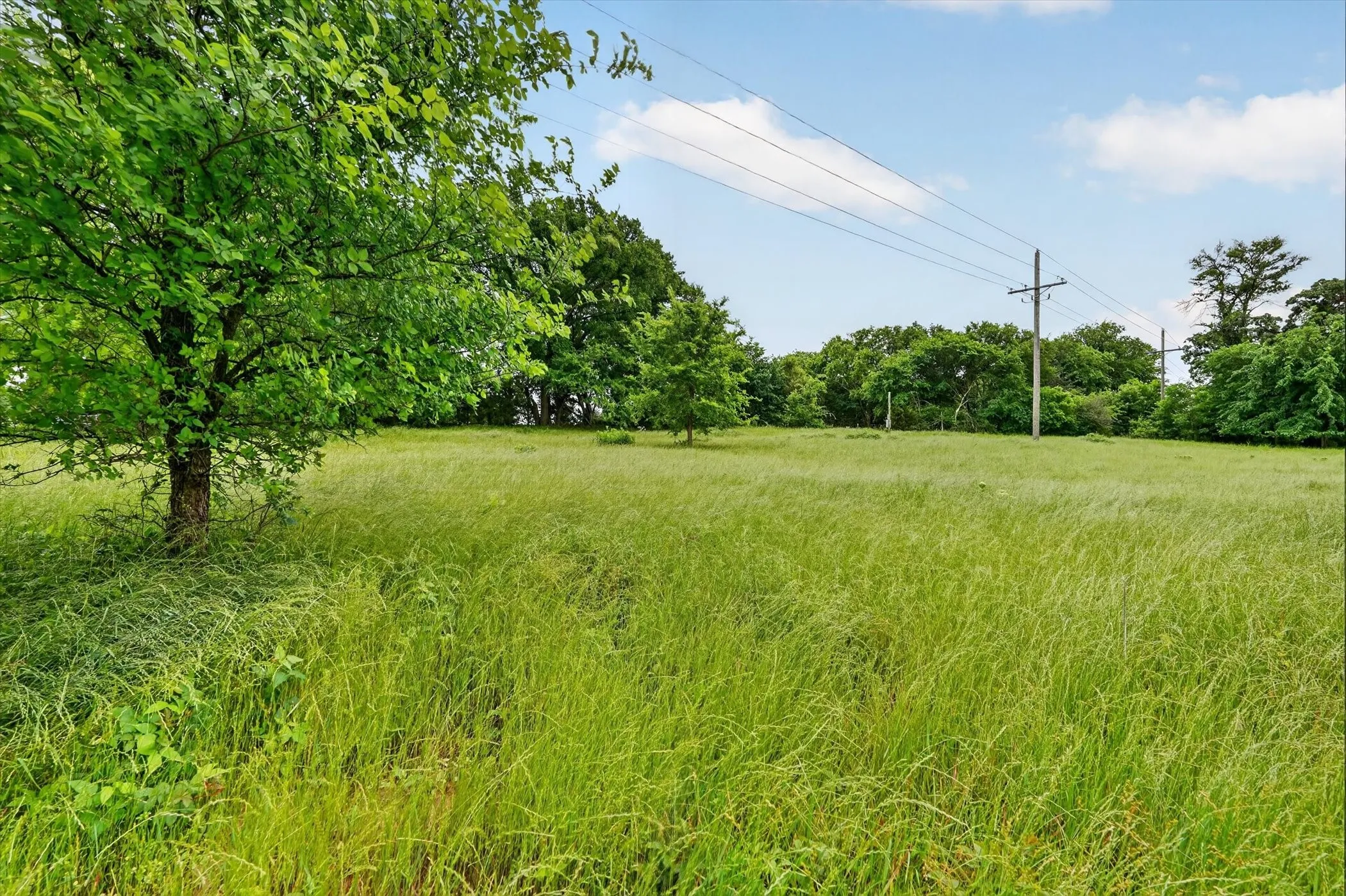 Unimproved Land For Sale in Fannin County , 0000 County Road 2610, Bonham, Texas 75418, 0, 0, Garage spaces, 0 Sqft, built in 0, mls#21257205, Real Estate Agent in Bonham, Homes For Sale in Fannin county, Homes For Sale in Bonham, Realtor in Bonham Texas, Real Estate Brokerage Independent Realty Texas, Luminita Cordes Realtor