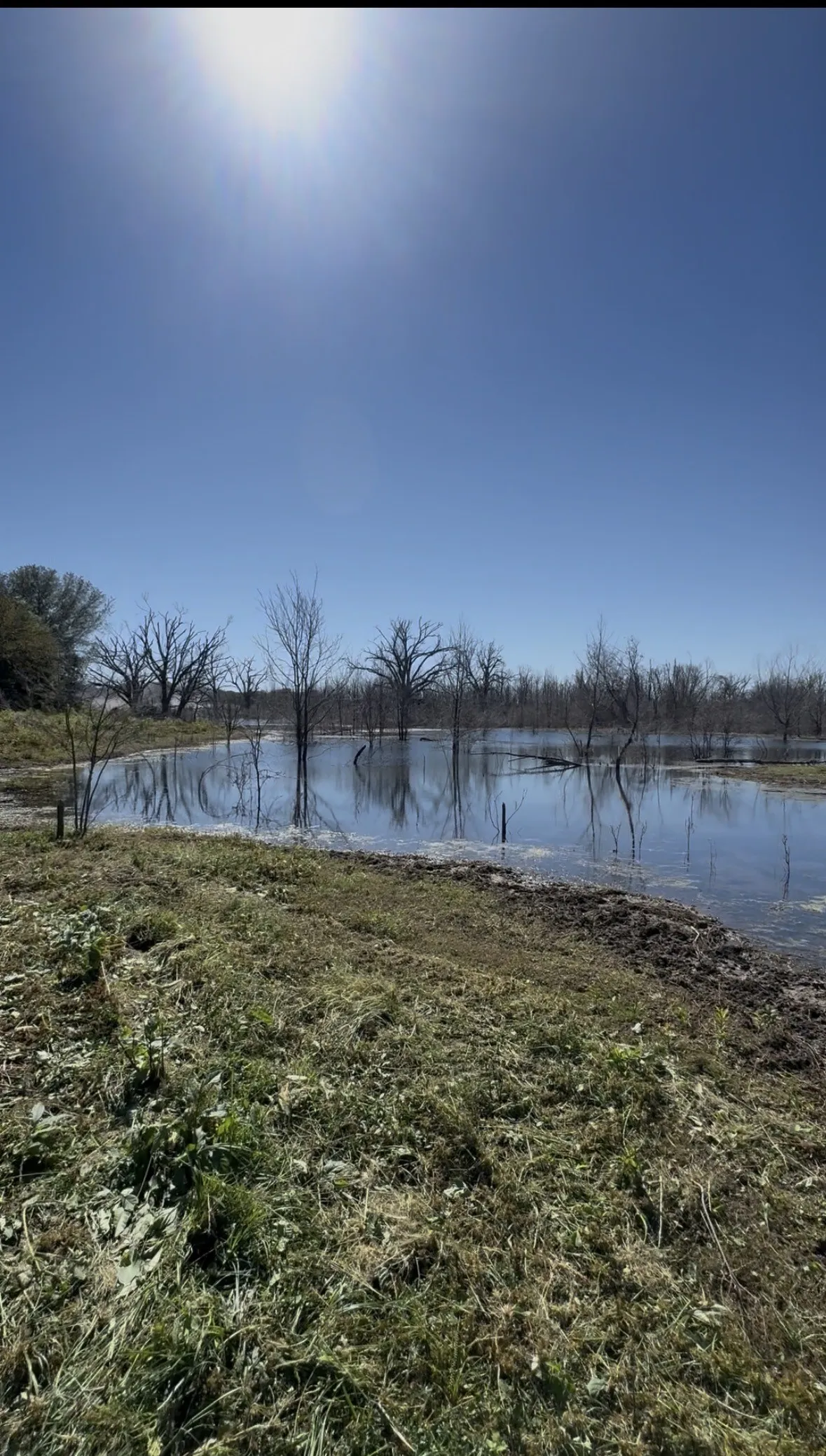 Unimproved Land For Sale in Fannin County , 0000 County Road 2610, Bonham, Texas 75418, 0, 0, Garage spaces, 0 Sqft, built in 0, mls#21257205, Real Estate Agent in Bonham, Homes For Sale in Fannin county, Homes For Sale in Bonham, Realtor in Bonham Texas, Real Estate Brokerage Independent Realty Texas, Luminita Cordes Realtor