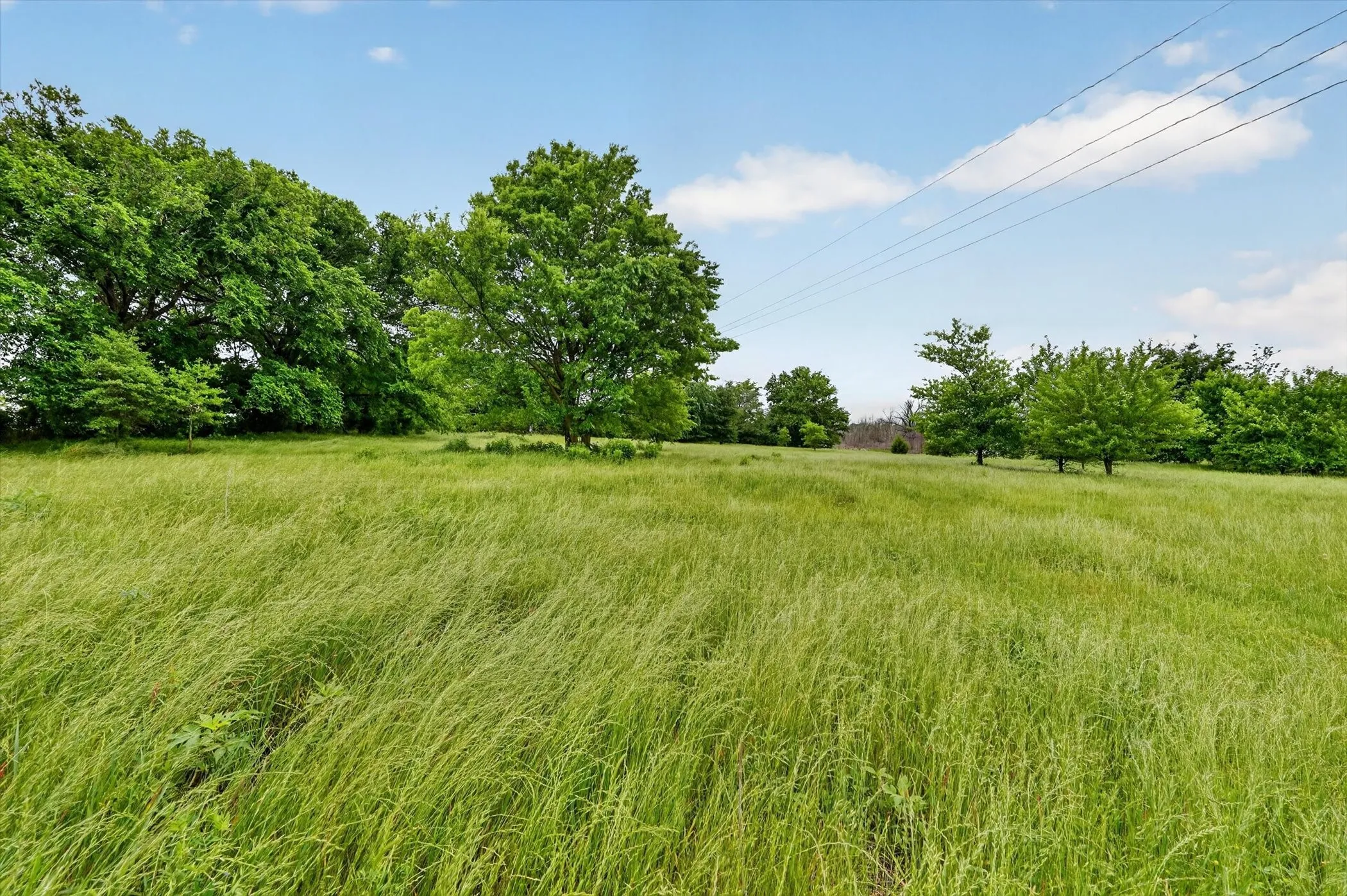 Unimproved Land For Sale in Fannin County , 0000 County Road 2610, Bonham, Texas 75418, 0, 0, Garage spaces, 0 Sqft, built in 0, mls#21257205, Real Estate Agent in Bonham, Homes For Sale in Fannin county, Homes For Sale in Bonham, Realtor in Bonham Texas, Real Estate Brokerage Independent Realty Texas, Luminita Cordes Realtor