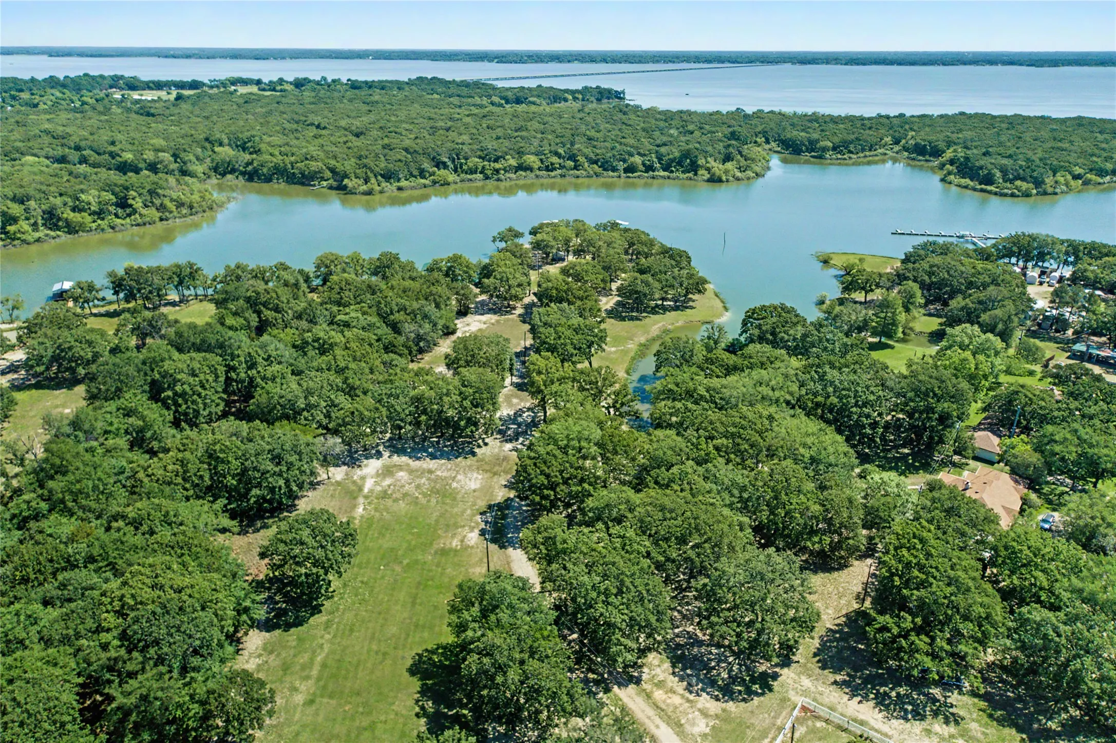 Expansive wooded property featuring mature trees and partial clearing