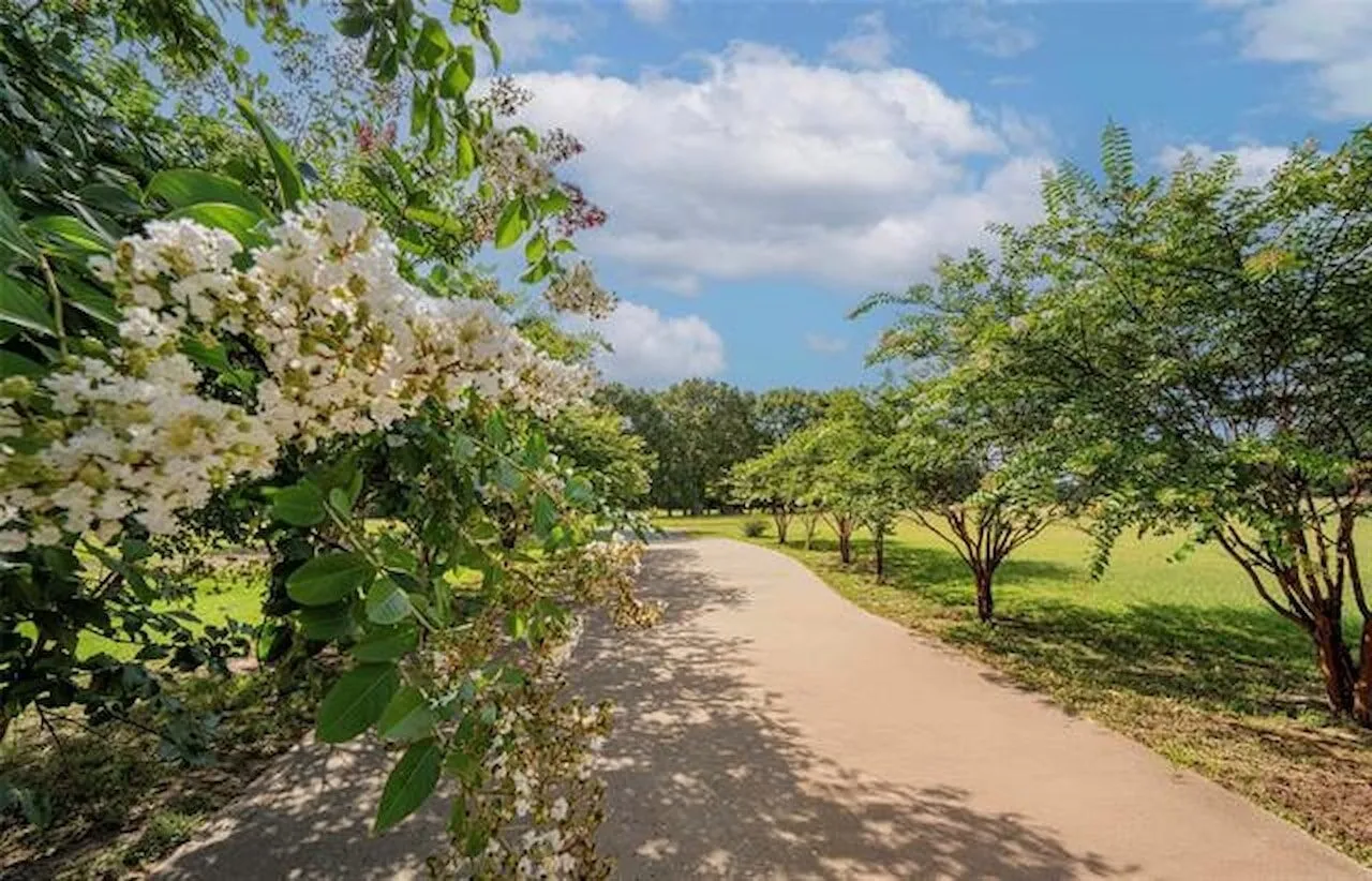 Business For Sale in Rusk County , 14284 TX 322, Kilgore, Texas 75662, 0, 0, Garage spaces, 0 Sqft, built in 2015, mls#21254308, Real Estate Agent in Kilgore, Homes For Sale in Rusk county, Homes For Sale in Kilgore, Realtor in Kilgore Texas, Real Estate Brokerage Independent Realty Texas, Luminita Cordes Realtor