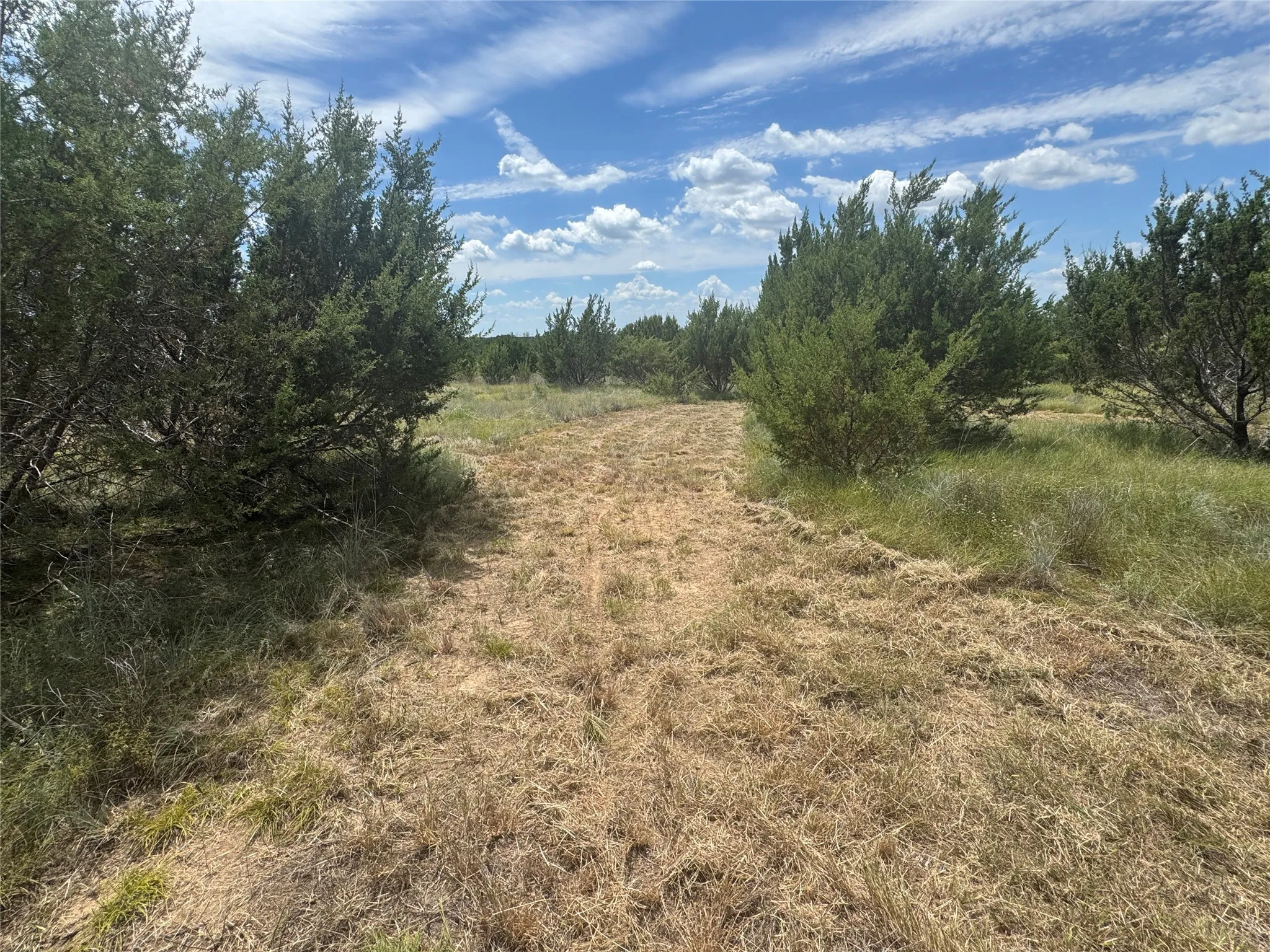 Ranch For Sale in Hood County , 7800 Boswell Court, Lipan, Texas 76462, 0, 0, Garage spaces, 0 Sqft, built in 0, mls#21268899, Real Estate Agent in Lipan, Homes For Sale in Hood county, Homes For Sale in Lipan, Realtor in Lipan Texas, Real Estate Brokerage Independent Realty Texas, Luminita Cordes Realtor