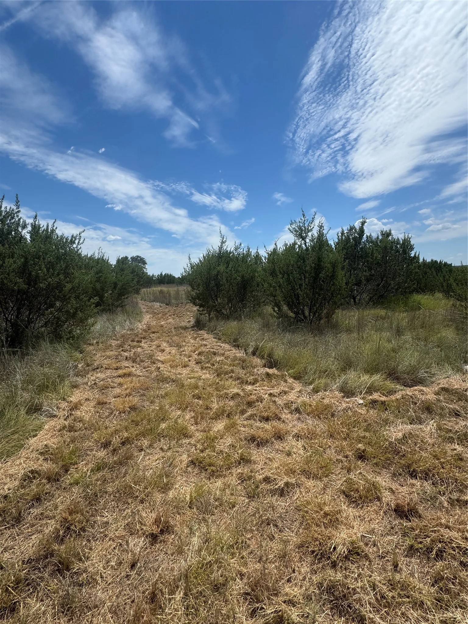 Ranch For Sale in Hood County , 7800 Boswell Court, Lipan, Texas 76462, 0, 0, Garage spaces, 0 Sqft, built in 0, mls#21268899, Real Estate Agent in Lipan, Homes For Sale in Hood county, Homes For Sale in Lipan, Realtor in Lipan Texas, Real Estate Brokerage Independent Realty Texas, Luminita Cordes Realtor