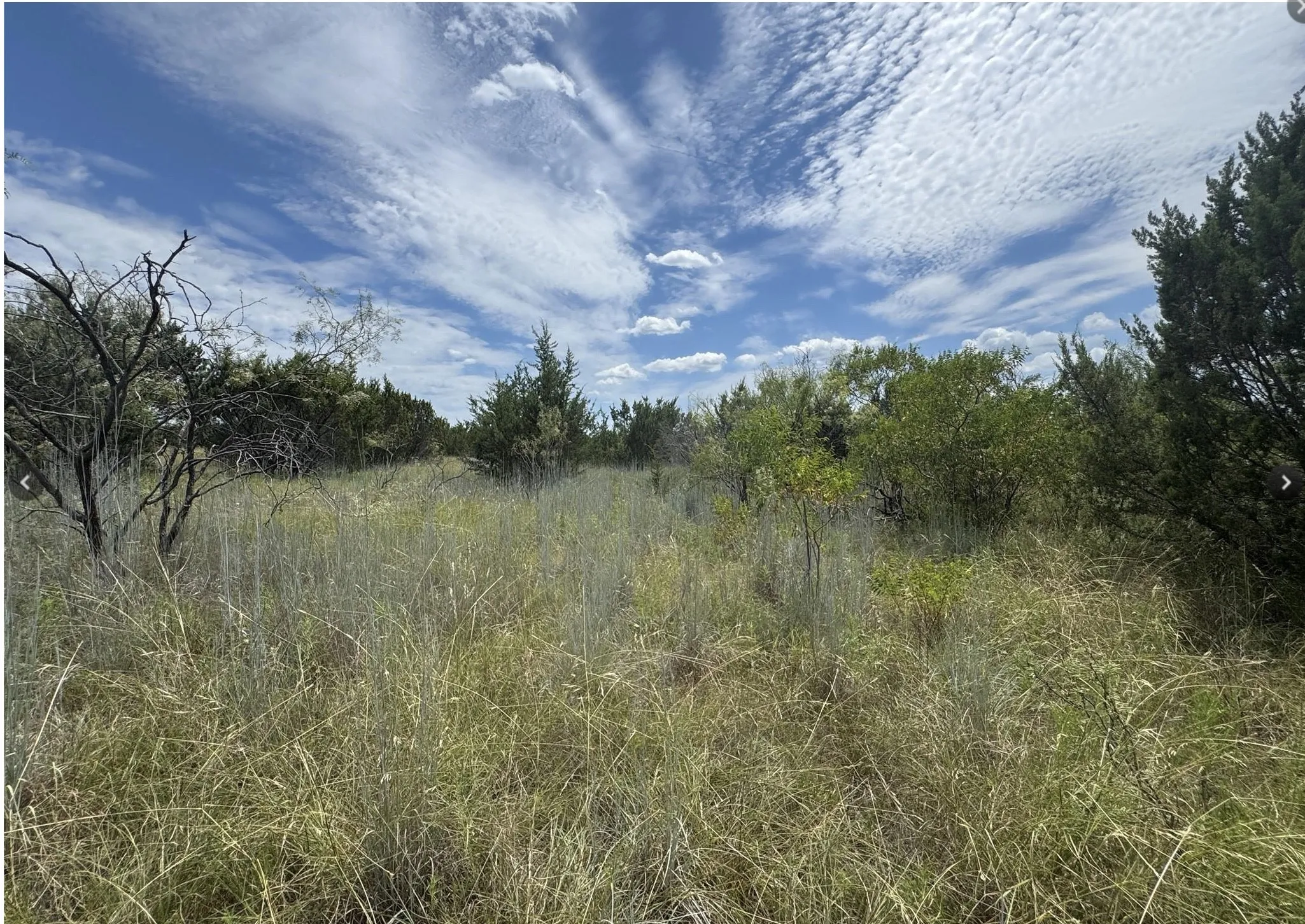 Ranch For Sale in Hood County , 7800 Boswell Court, Lipan, Texas 76462, 0, 0, Garage spaces, 0 Sqft, built in 0, mls#21268899, Real Estate Agent in Lipan, Homes For Sale in Hood county, Homes For Sale in Lipan, Realtor in Lipan Texas, Real Estate Brokerage Independent Realty Texas, Luminita Cordes Realtor