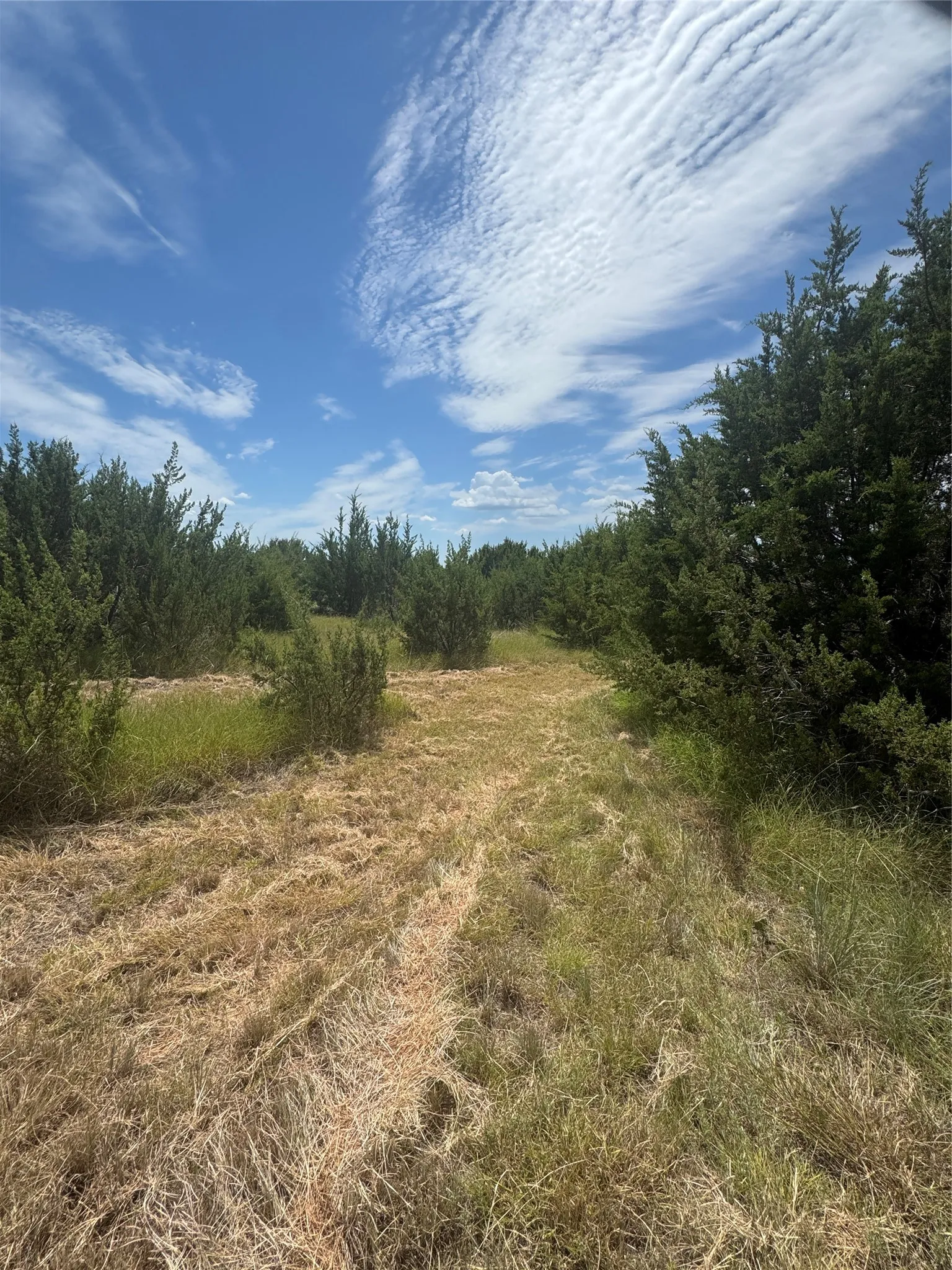Ranch For Sale in Hood County , 7800 Boswell Court, Lipan, Texas 76462, 0, 0, Garage spaces, 0 Sqft, built in 0, mls#21268899, Real Estate Agent in Lipan, Homes For Sale in Hood county, Homes For Sale in Lipan, Realtor in Lipan Texas, Real Estate Brokerage Independent Realty Texas, Luminita Cordes Realtor
