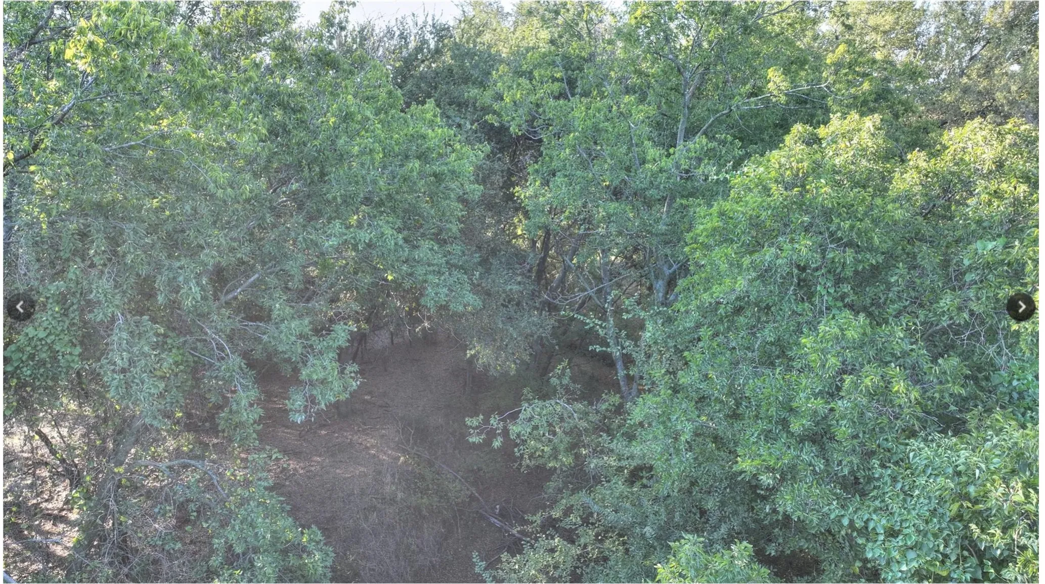 Ranch For Sale in Hood County , 7800 Boswell Court, Lipan, Texas 76462, 0, 0, Garage spaces, 0 Sqft, built in 0, mls#21268899, Real Estate Agent in Lipan, Homes For Sale in Hood county, Homes For Sale in Lipan, Realtor in Lipan Texas, Real Estate Brokerage Independent Realty Texas, Luminita Cordes Realtor