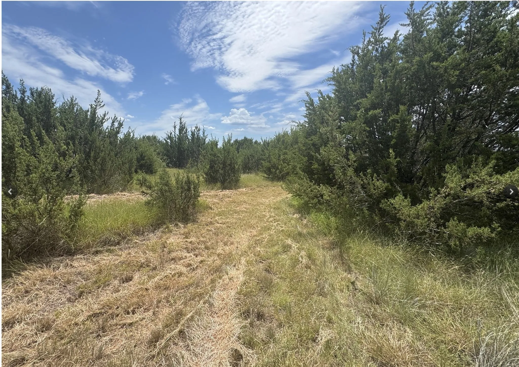 Ranch For Sale in Hood County , 7800 Boswell Court, Lipan, Texas 76462, 0, 0, Garage spaces, 0 Sqft, built in 0, mls#21268899, Real Estate Agent in Lipan, Homes For Sale in Hood county, Homes For Sale in Lipan, Realtor in Lipan Texas, Real Estate Brokerage Independent Realty Texas, Luminita Cordes Realtor
