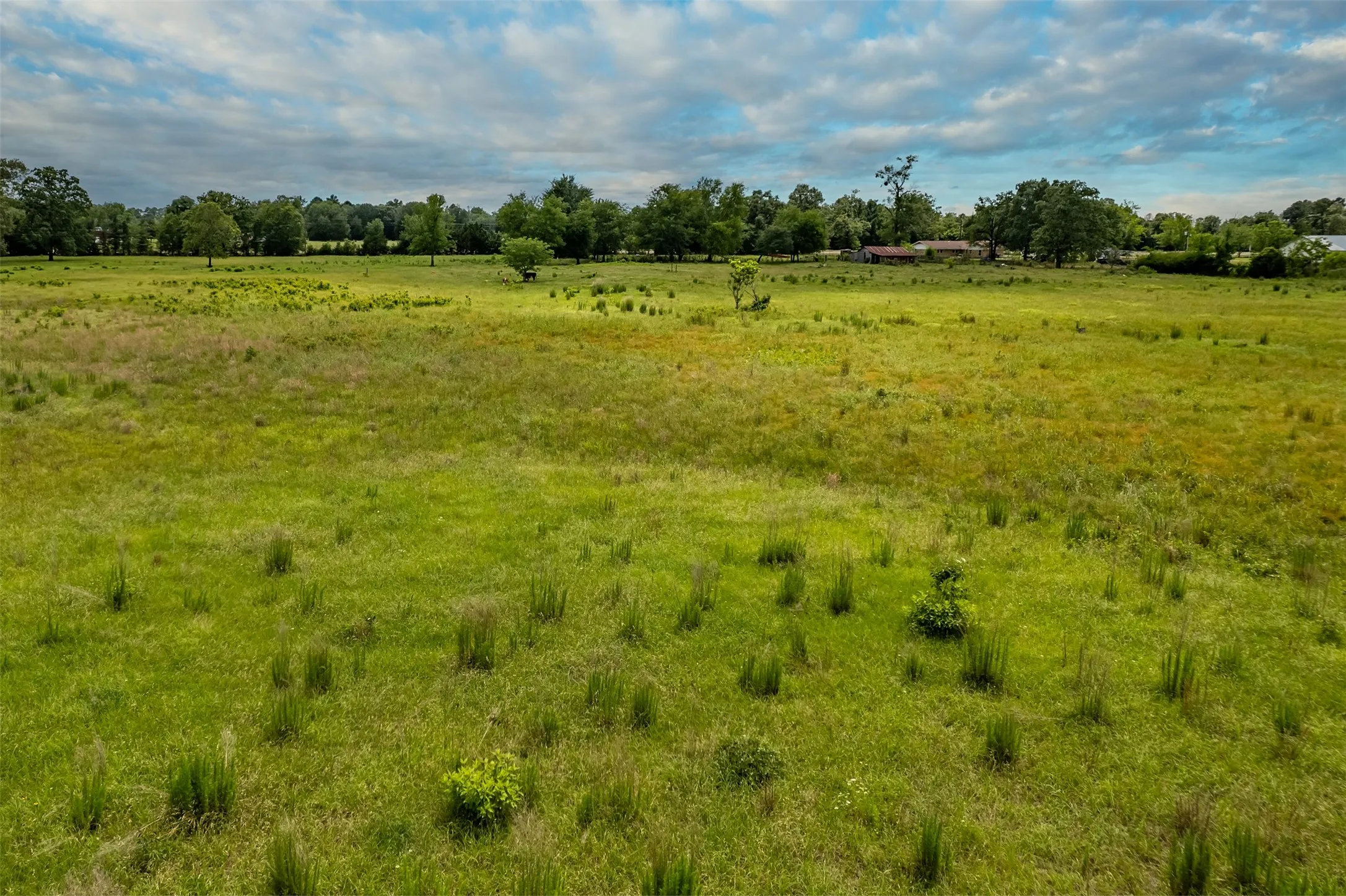 Farm For Sale in Wood County , 7037 E U.S. HWY 80, Hawkins, Texas 75765, 3 Bedroom, 2 Bathroom, Garage spaces, 2,135 Sqft, built in 1970, mls#21268907, Real Estate Agent in Hawkins, Homes For Sale in Wood county, Homes For Sale in Hawkins, Realtor in Hawkins Texas, Real Estate Brokerage Independent Realty Texas, Luminita Cordes Realtor