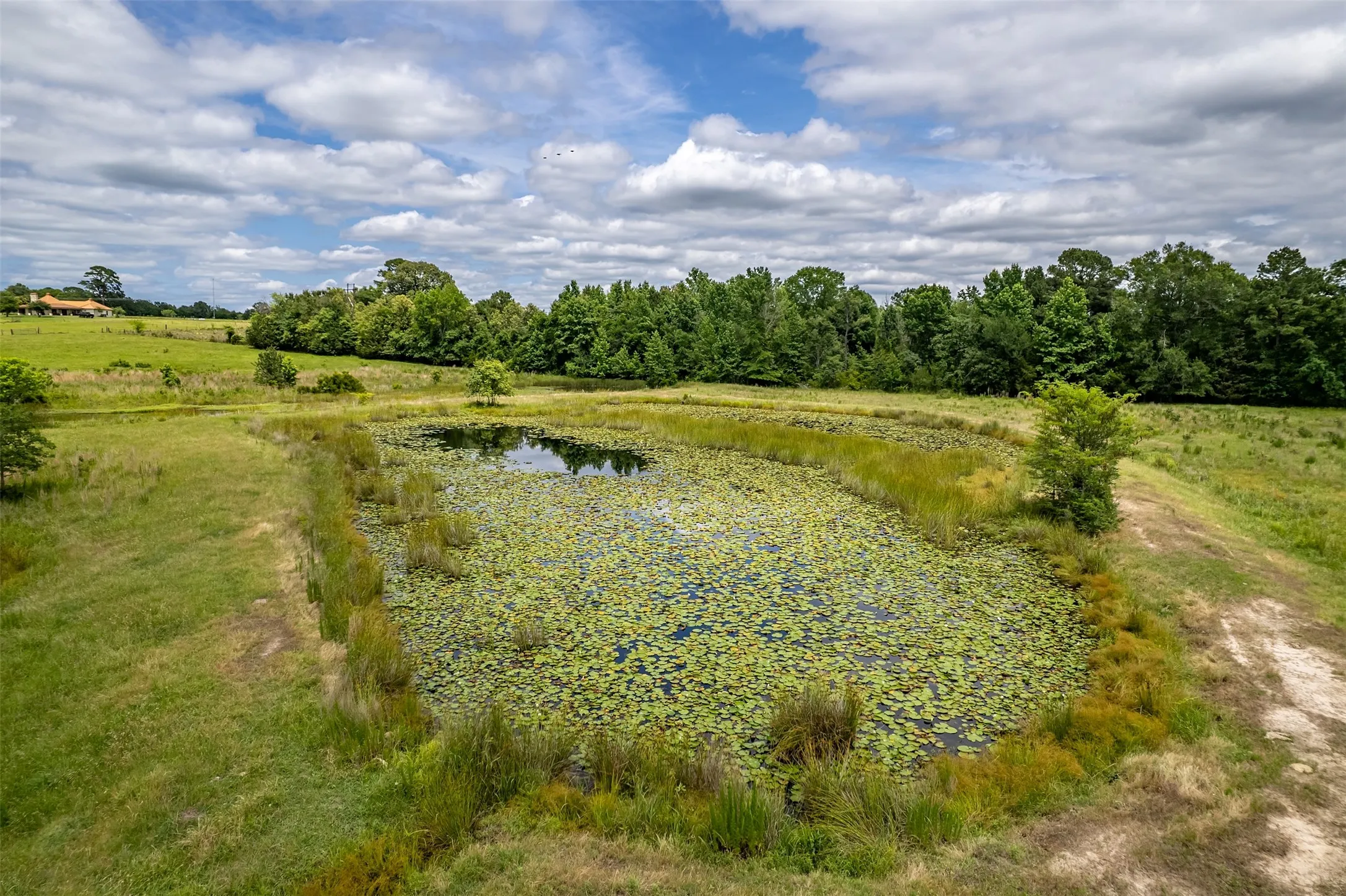 Farm For Sale in Wood County , 7037 E U.S. HWY 80, Hawkins, Texas 75765, 3 Bedroom, 2 Bathroom, Garage spaces, 2,135 Sqft, built in 1970, mls#21268907, Real Estate Agent in Hawkins, Homes For Sale in Wood county, Homes For Sale in Hawkins, Realtor in Hawkins Texas, Real Estate Brokerage Independent Realty Texas, Luminita Cordes Realtor