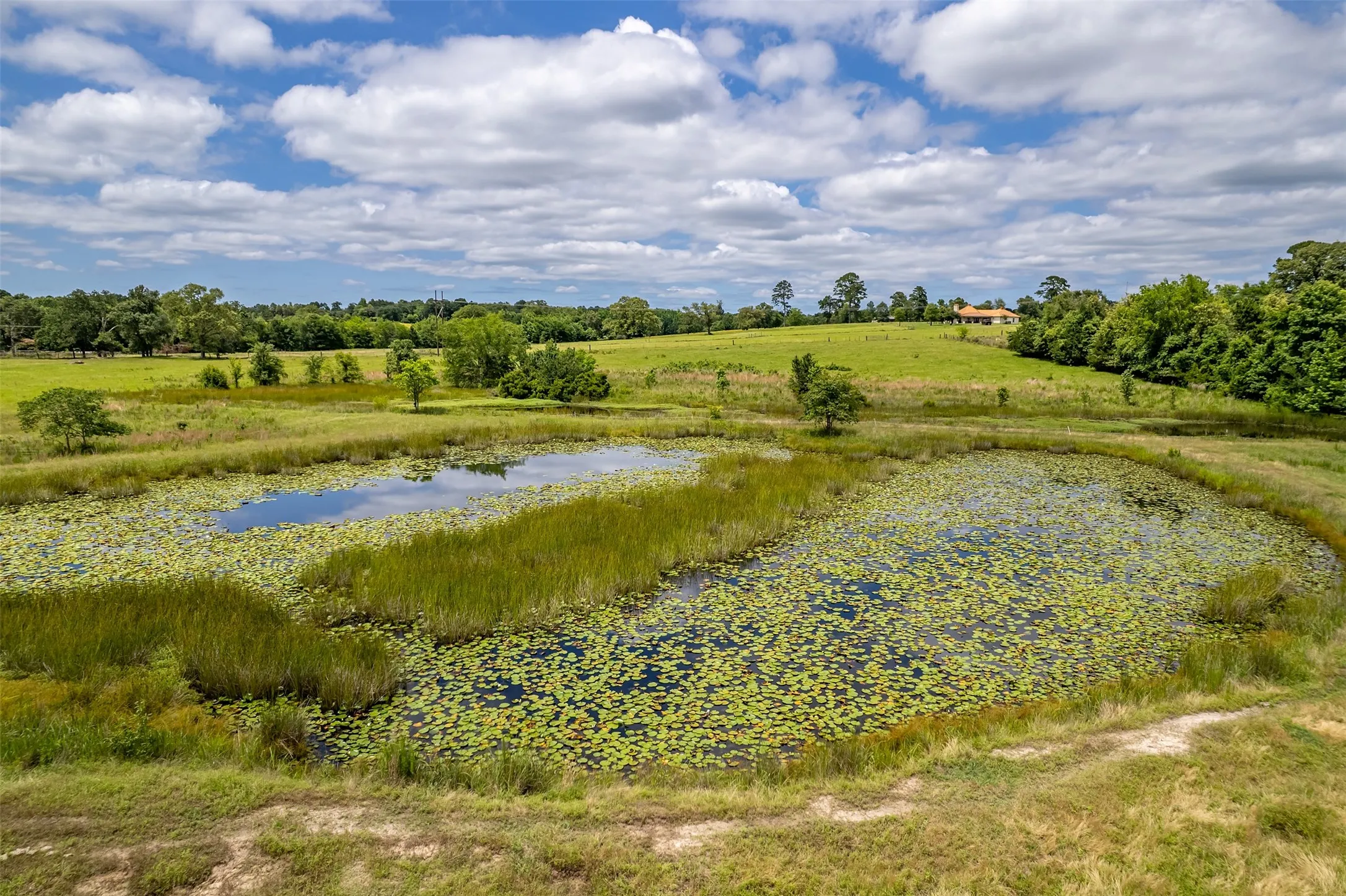 Farm For Sale in Wood County , 7037 E U.S. HWY 80, Hawkins, Texas 75765, 3 Bedroom, 2 Bathroom, Garage spaces, 2,135 Sqft, built in 1970, mls#21268907, Real Estate Agent in Hawkins, Homes For Sale in Wood county, Homes For Sale in Hawkins, Realtor in Hawkins Texas, Real Estate Brokerage Independent Realty Texas, Luminita Cordes Realtor