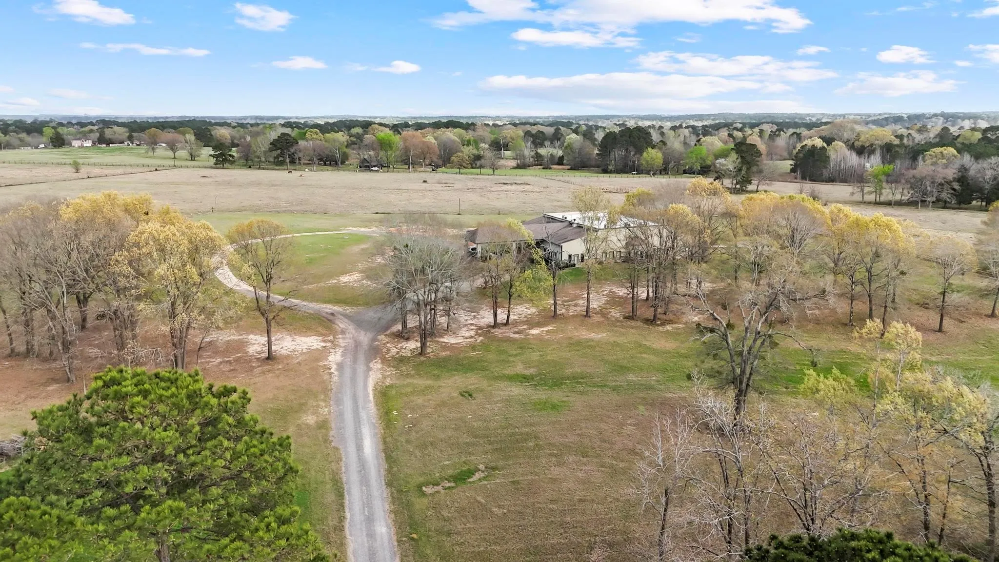 Business For Sale in Rusk County , 14284 N 322 Highway, Kilgore, Texas 75662, 0, 0, Garage spaces, 0 Sqft, built in 2015, mls#21254266, Real Estate Agent in Kilgore, Homes For Sale in Rusk county, Homes For Sale in Kilgore, Realtor in Kilgore Texas, Real Estate Brokerage Independent Realty Texas, Luminita Cordes Realtor