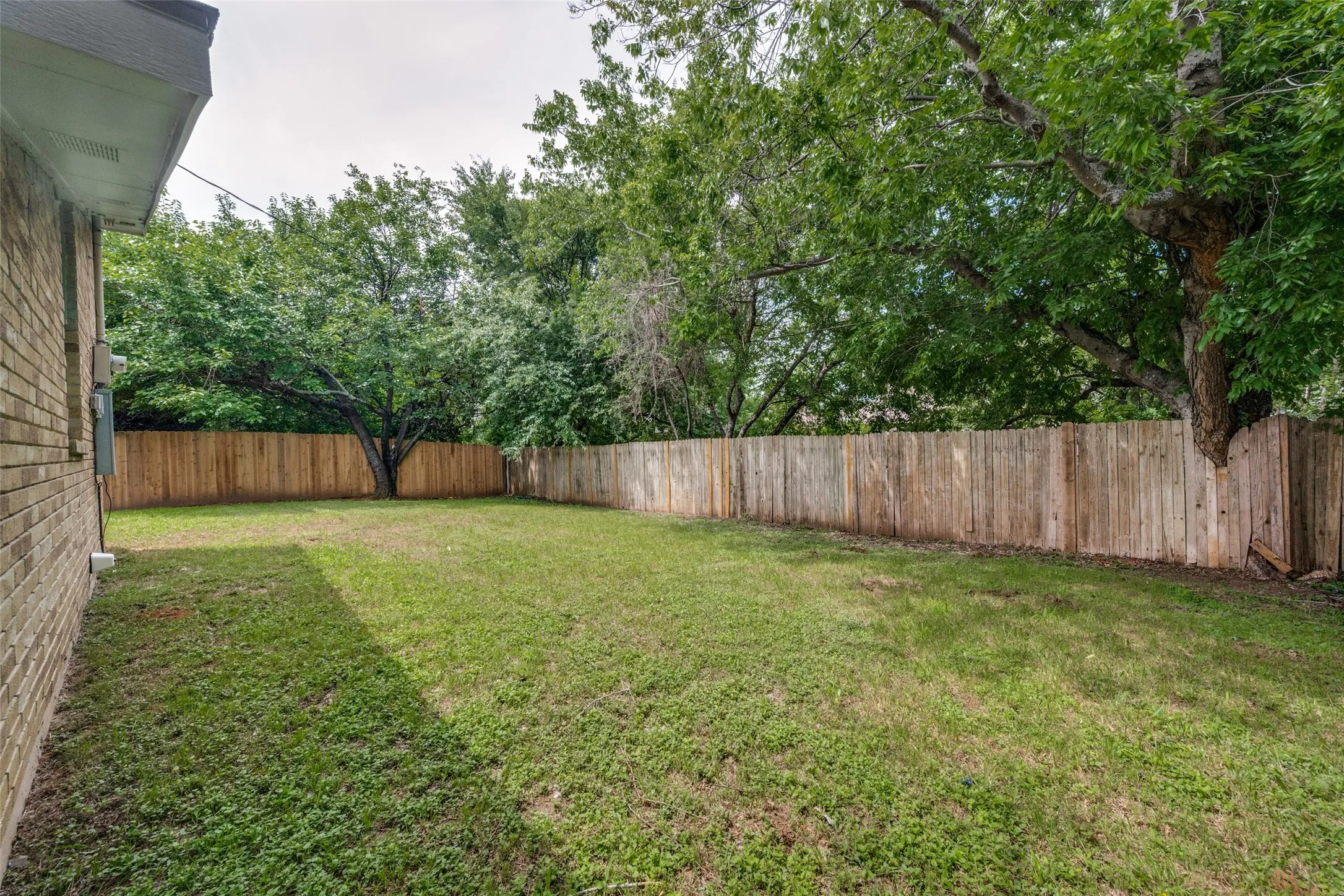 Back yard