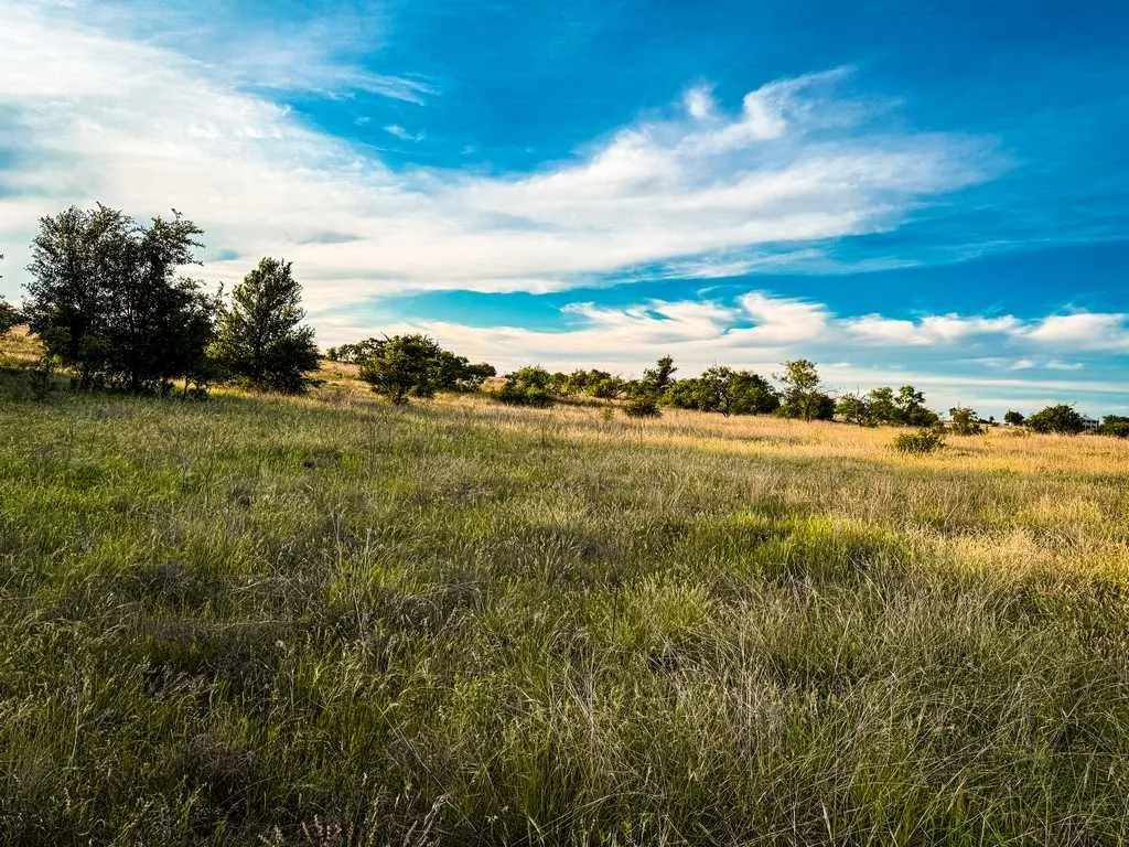 Unimproved Land For Sale in Coryell County , TBD County Road 96, Purmela, Texas 76566, 0, 0, Garage spaces, 0 Sqft, built in 0, Price $367,200, mls#21264498, Real Estate Agent in Purmela, Homes For Sale in Coryell county, Homes For Sale in Purmela, Realtor in Purmela Texas, Real Estate Brokerage Independent Realty Texas, Luminita Cordes Realtor
