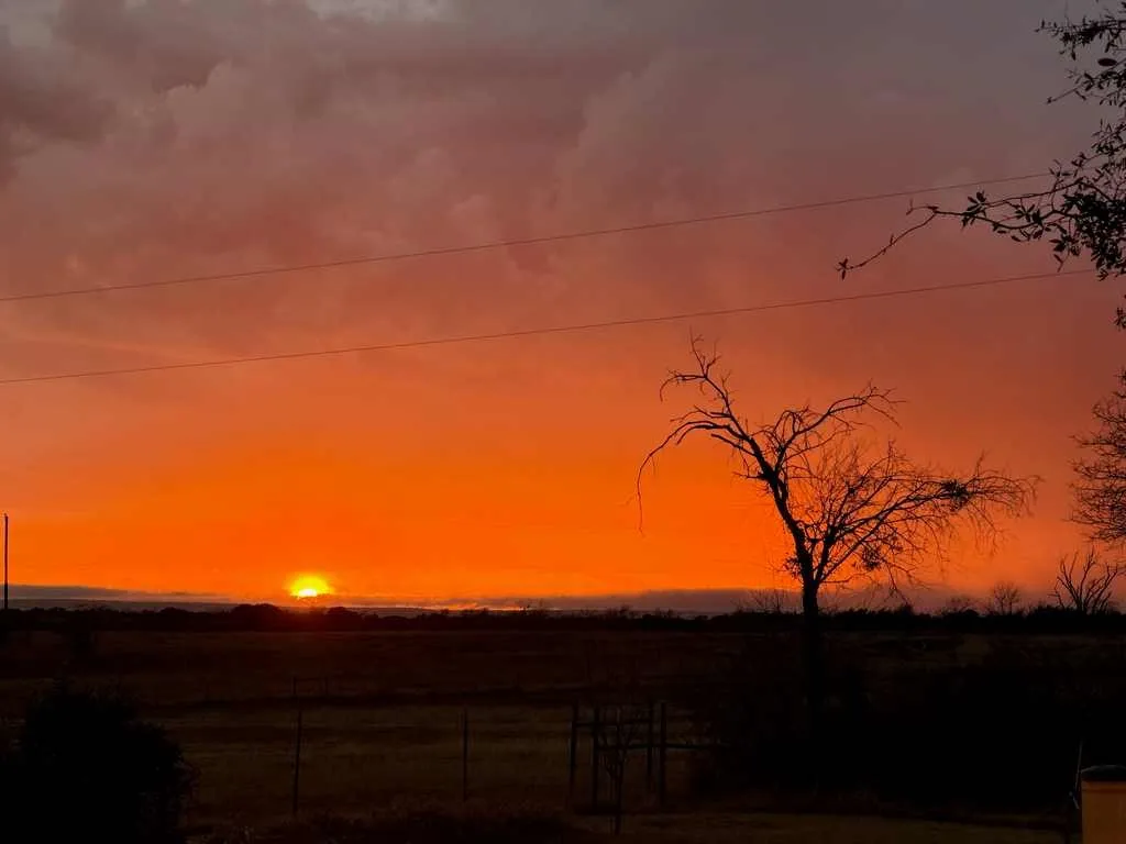 Unimproved Land For Sale in Coryell County , TBD County Road 96, Purmela, Texas 76566, 0, 0, Garage spaces, 0 Sqft, built in 0, Price $367,200, mls#21264498, Real Estate Agent in Purmela, Homes For Sale in Coryell county, Homes For Sale in Purmela, Realtor in Purmela Texas, Real Estate Brokerage Independent Realty Texas, Luminita Cordes Realtor
