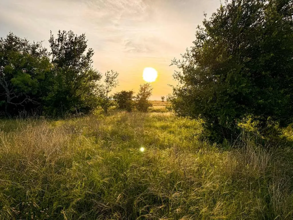 Unimproved Land For Sale in Coryell County , TBD County Road 96, Purmela, Texas 76566, 0, 0, Garage spaces, 0 Sqft, built in 0, Price $367,200, mls#21264498, Real Estate Agent in Purmela, Homes For Sale in Coryell county, Homes For Sale in Purmela, Realtor in Purmela Texas, Real Estate Brokerage Independent Realty Texas, Luminita Cordes Realtor