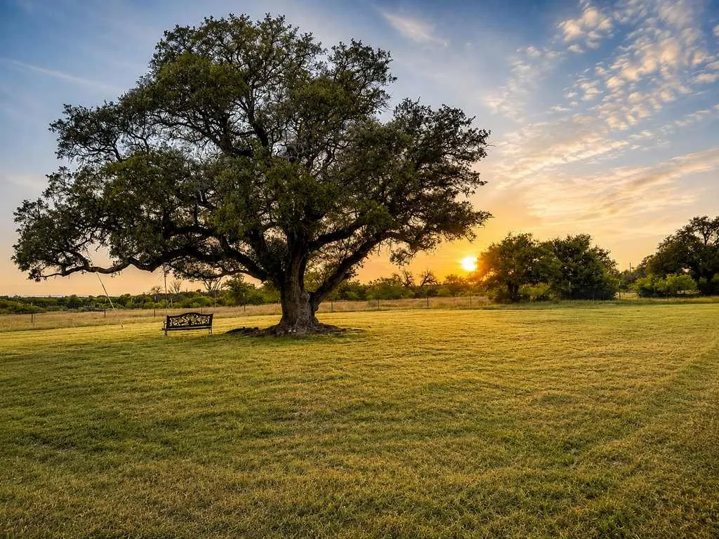Unimproved Land For Sale in Coryell County , TBD County Road 96, Purmela, Texas 76566, 0, 0, Garage spaces, 0 Sqft, built in 0, Price $367,200, mls#21264498, Real Estate Agent in Purmela, Homes For Sale in Coryell county, Homes For Sale in Purmela, Realtor in Purmela Texas, Real Estate Brokerage Independent Realty Texas, Luminita Cordes Realtor