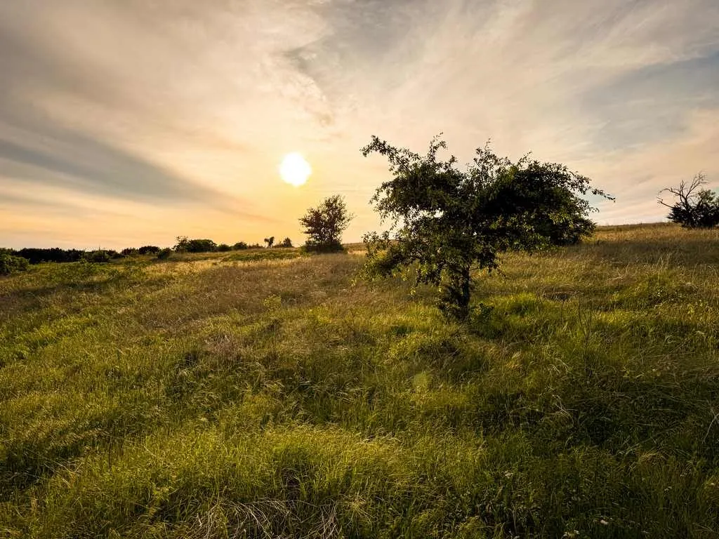 Unimproved Land For Sale in Coryell County , TBD County Road 96, Purmela, Texas 76566, 0, 0, Garage spaces, 0 Sqft, built in 0, Price $367,200, mls#21264498, Real Estate Agent in Purmela, Homes For Sale in Coryell county, Homes For Sale in Purmela, Realtor in Purmela Texas, Real Estate Brokerage Independent Realty Texas, Luminita Cordes Realtor