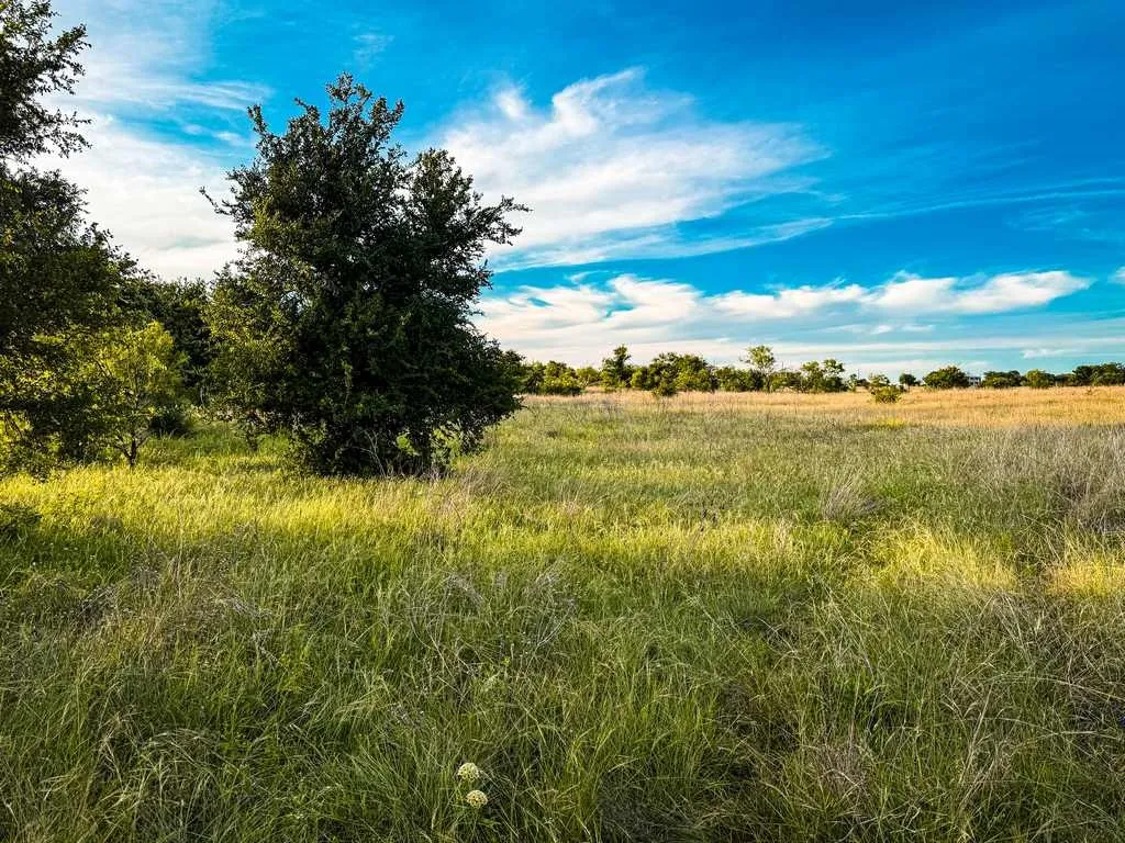 Unimproved Land For Sale in Coryell County , TBD County Road 96, Purmela, Texas 76566, 0, 0, Garage spaces, 0 Sqft, built in 0, Price $367,200, mls#21264498, Real Estate Agent in Purmela, Homes For Sale in Coryell county, Homes For Sale in Purmela, Realtor in Purmela Texas, Real Estate Brokerage Independent Realty Texas, Luminita Cordes Realtor