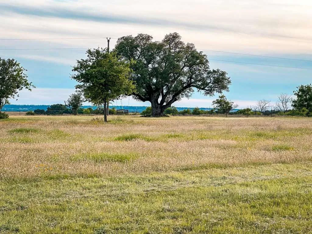 Unimproved Land For Sale in Coryell County , TBD County Road 96, Purmela, Texas 76566, 0, 0, Garage spaces, 0 Sqft, built in 0, Price $367,200, mls#21264498, Real Estate Agent in Purmela, Homes For Sale in Coryell county, Homes For Sale in Purmela, Realtor in Purmela Texas, Real Estate Brokerage Independent Realty Texas, Luminita Cordes Realtor