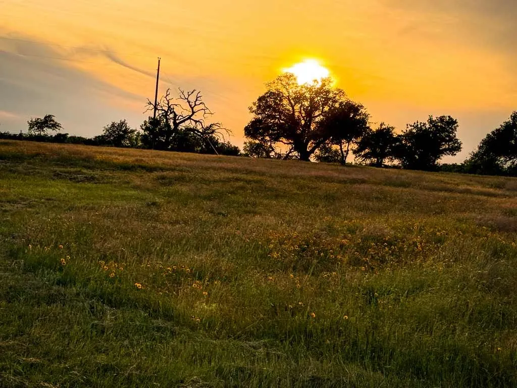 Unimproved Land For Sale in Coryell County , TBD County Road 96, Purmela, Texas 76566, 0, 0, Garage spaces, 0 Sqft, built in 0, Price $367,200, mls#21264498, Real Estate Agent in Purmela, Homes For Sale in Coryell county, Homes For Sale in Purmela, Realtor in Purmela Texas, Real Estate Brokerage Independent Realty Texas, Luminita Cordes Realtor