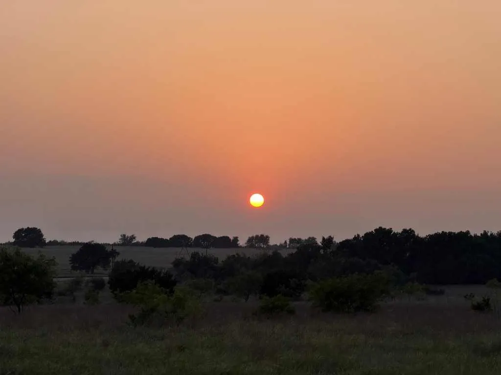 Unimproved Land For Sale in Coryell County , TBD County Road 96, Purmela, Texas 76566, 0, 0, Garage spaces, 0 Sqft, built in 0, Price $367,200, mls#21264498, Real Estate Agent in Purmela, Homes For Sale in Coryell county, Homes For Sale in Purmela, Realtor in Purmela Texas, Real Estate Brokerage Independent Realty Texas, Luminita Cordes Realtor