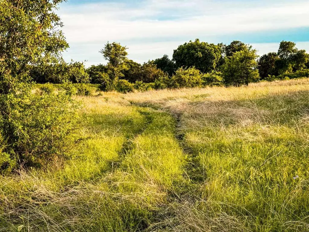 Unimproved Land For Sale in Coryell County , TBD County Road 96, Purmela, Texas 76566, 0, 0, Garage spaces, 0 Sqft, built in 0, Price $367,200, mls#21264498, Real Estate Agent in Purmela, Homes For Sale in Coryell county, Homes For Sale in Purmela, Realtor in Purmela Texas, Real Estate Brokerage Independent Realty Texas, Luminita Cordes Realtor