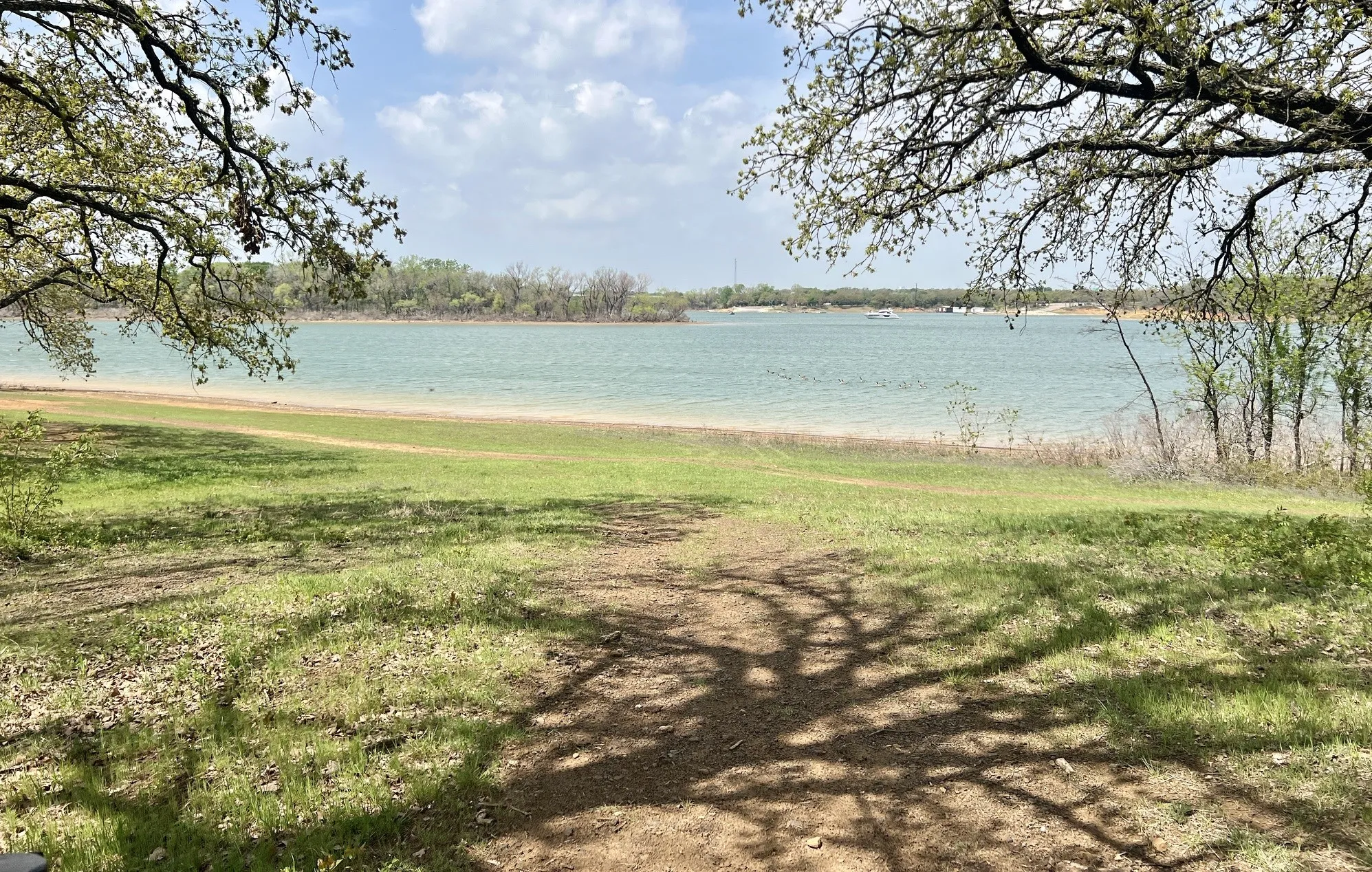 Unimproved Land For Sale in Denton County , 103 Wild Oak Lane, Hickory Creek, Texas 75065, 0, 0, Garage spaces, 0 Sqft, built in 0, mls#21268385, Real Estate Agent in Hickory Creek, Homes For Sale in Denton county, Homes For Sale in Hickory Creek, Realtor in Hickory Creek Texas, Real Estate Brokerage Independent Realty Texas, Luminita Cordes Realtor
