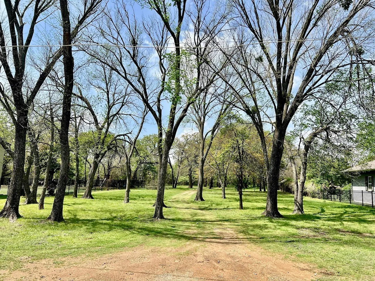 Unimproved Land For Sale in Denton County , 103 Wild Oak Lane, Hickory Creek, Texas 75065, 0, 0, Garage spaces, 0 Sqft, built in 0, mls#21268385, Real Estate Agent in Hickory Creek, Homes For Sale in Denton county, Homes For Sale in Hickory Creek, Realtor in Hickory Creek Texas, Real Estate Brokerage Independent Realty Texas, Luminita Cordes Realtor