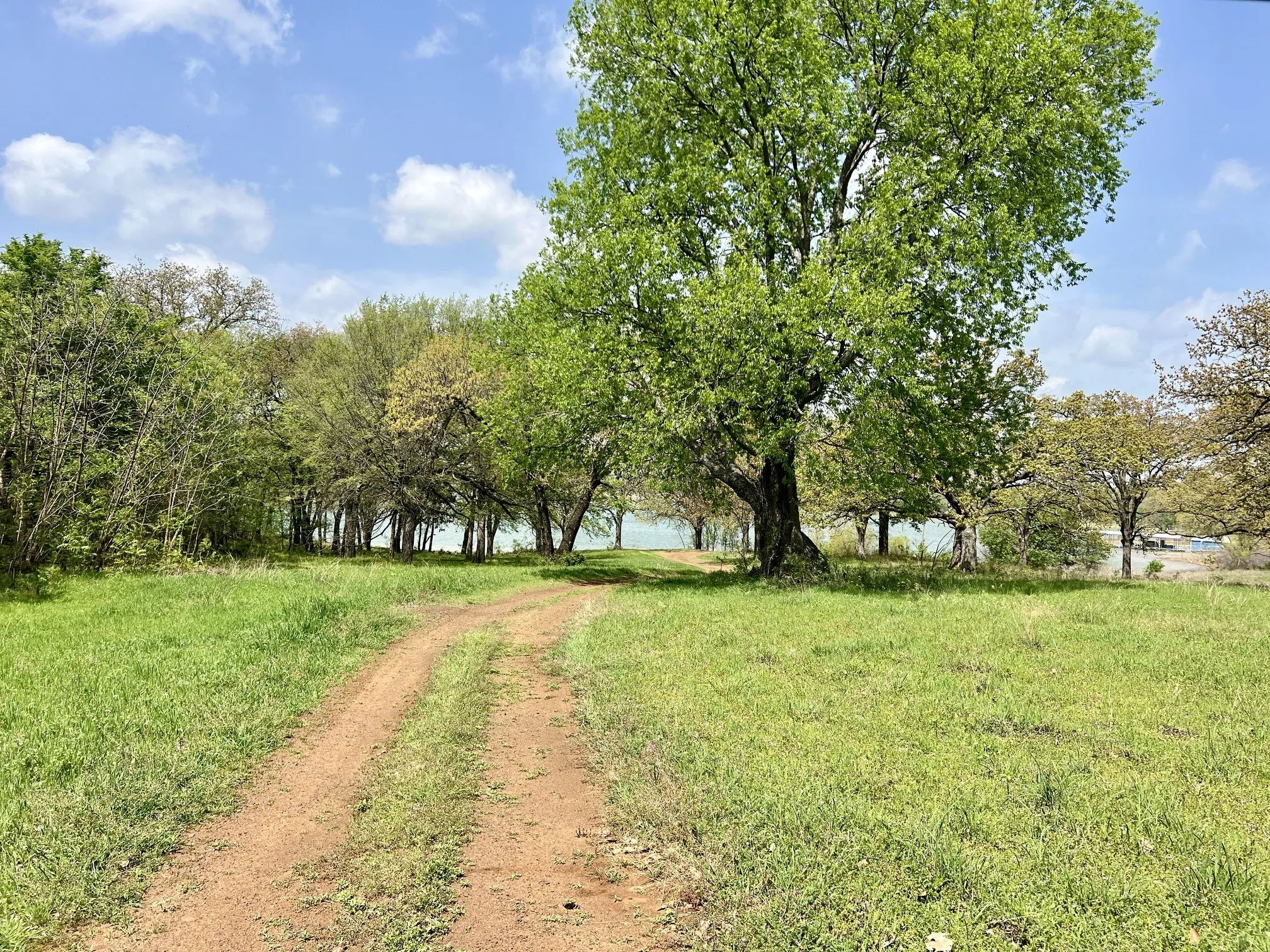 Unimproved Land For Sale in Denton County , 103 Wild Oak Lane, Hickory Creek, Texas 75065, 0, 0, Garage spaces, 0 Sqft, built in 0, mls#21268385, Real Estate Agent in Hickory Creek, Homes For Sale in Denton county, Homes For Sale in Hickory Creek, Realtor in Hickory Creek Texas, Real Estate Brokerage Independent Realty Texas, Luminita Cordes Realtor