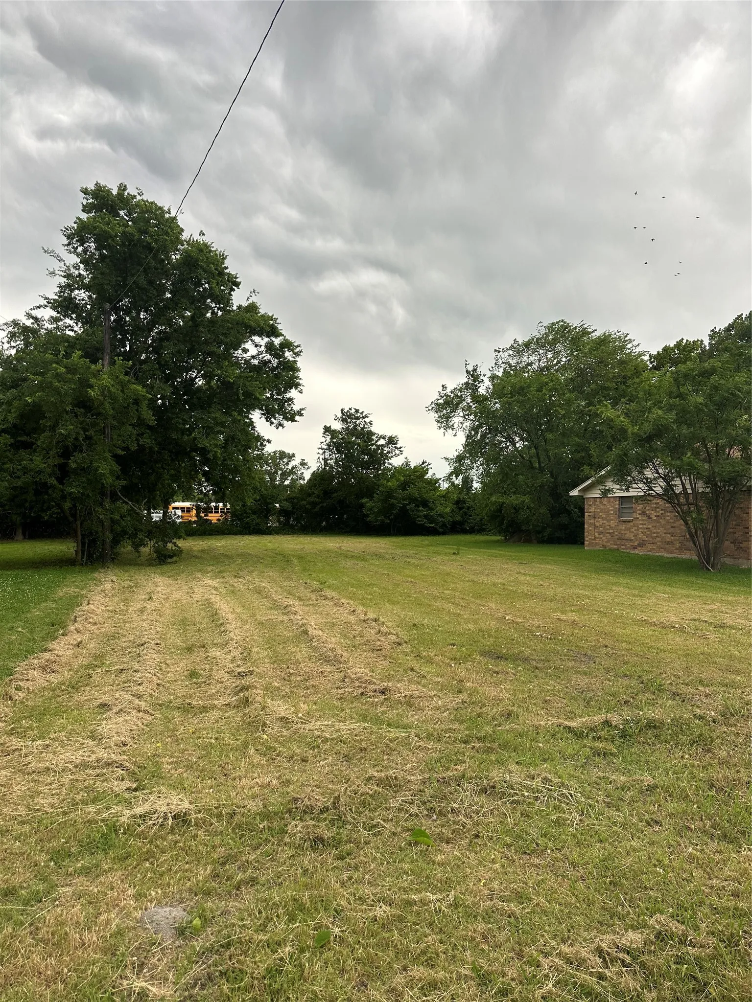 Unimproved Land For Sale in Grayson County , 316 E Davis Street, Howe, Texas 75459, 0, 0, Garage spaces, 0 Sqft, built in 0, mls#21269162, Real Estate Agent in Howe, Homes For Sale in Grayson county, Homes For Sale in Howe, Realtor in Howe Texas, Real Estate Brokerage Independent Realty Texas, Luminita Cordes Realtor