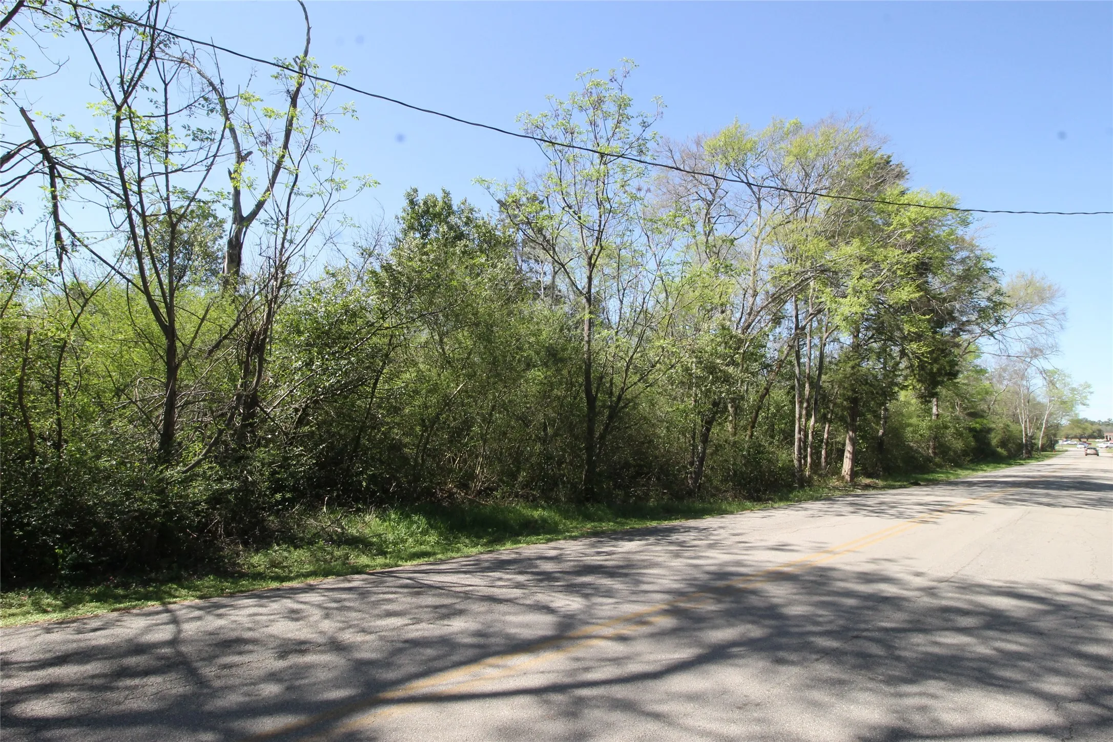 Unimproved Land For Sale in Cherokee County , 600 Block Brady Street, Jacksonville, Texas 75766, 0, 0, Garage spaces, 0 Sqft, built in 0, mls#21268398, Real Estate Agent in Jacksonville, Homes For Sale in Cherokee county, Homes For Sale in Jacksonville, Realtor in Jacksonville Texas, Real Estate Brokerage Independent Realty Texas, Luminita Cordes Realtor