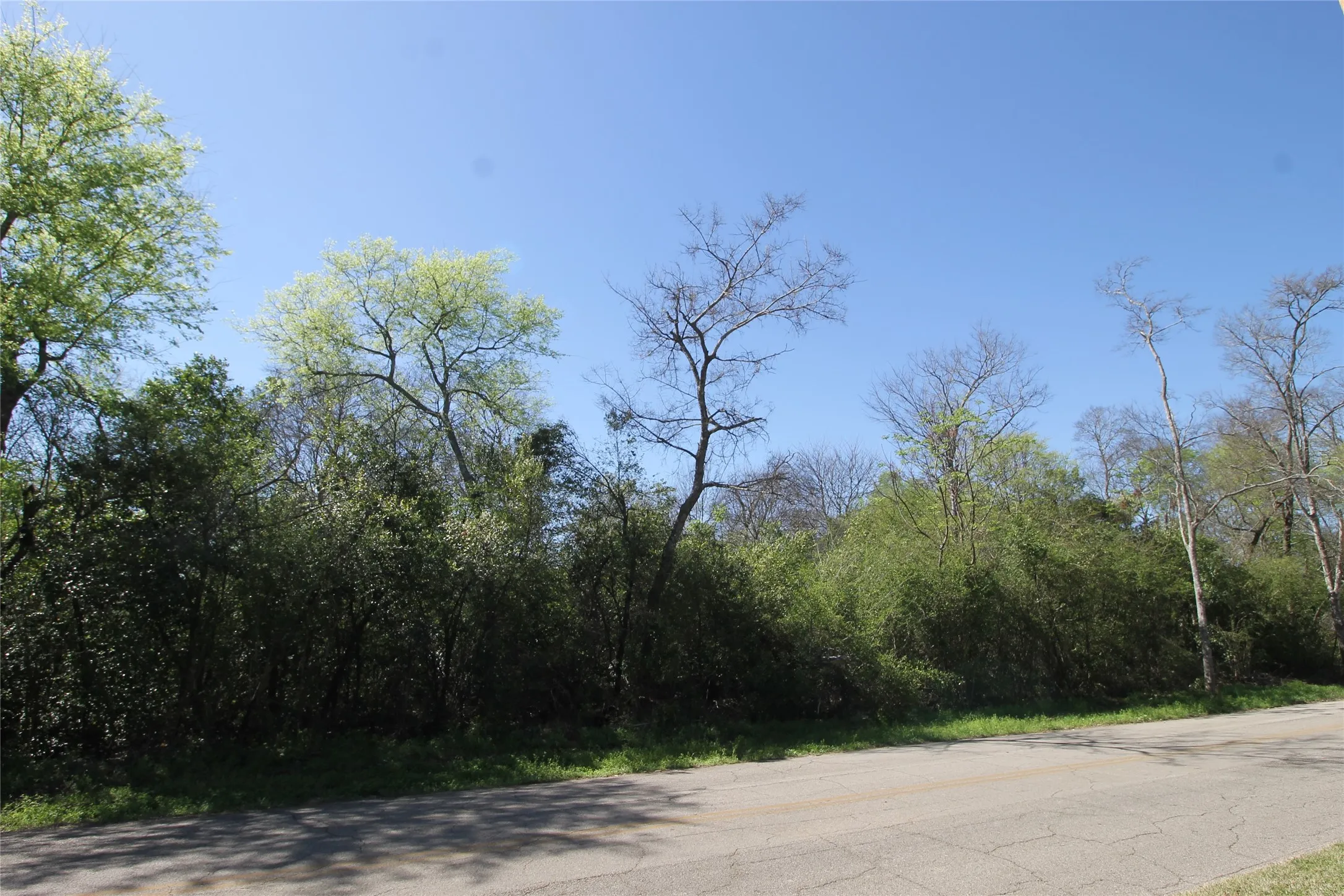 Unimproved Land For Sale in Cherokee County , 600 Block Brady Street, Jacksonville, Texas 75766, 0, 0, Garage spaces, 0 Sqft, built in 0, mls#21268398, Real Estate Agent in Jacksonville, Homes For Sale in Cherokee county, Homes For Sale in Jacksonville, Realtor in Jacksonville Texas, Real Estate Brokerage Independent Realty Texas, Luminita Cordes Realtor