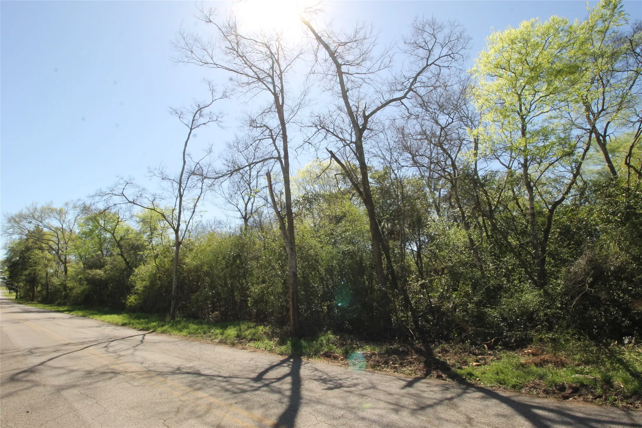 Unimproved Land For Sale in Cherokee County , 600 Block Brady Street, Jacksonville, Texas 75766, 0, 0, Garage spaces, 0 Sqft, built in 0, mls#21268398, Real Estate Agent in Jacksonville, Homes For Sale in Cherokee county, Homes For Sale in Jacksonville, Realtor in Jacksonville Texas, Real Estate Brokerage Independent Realty Texas, Luminita Cordes Realtor