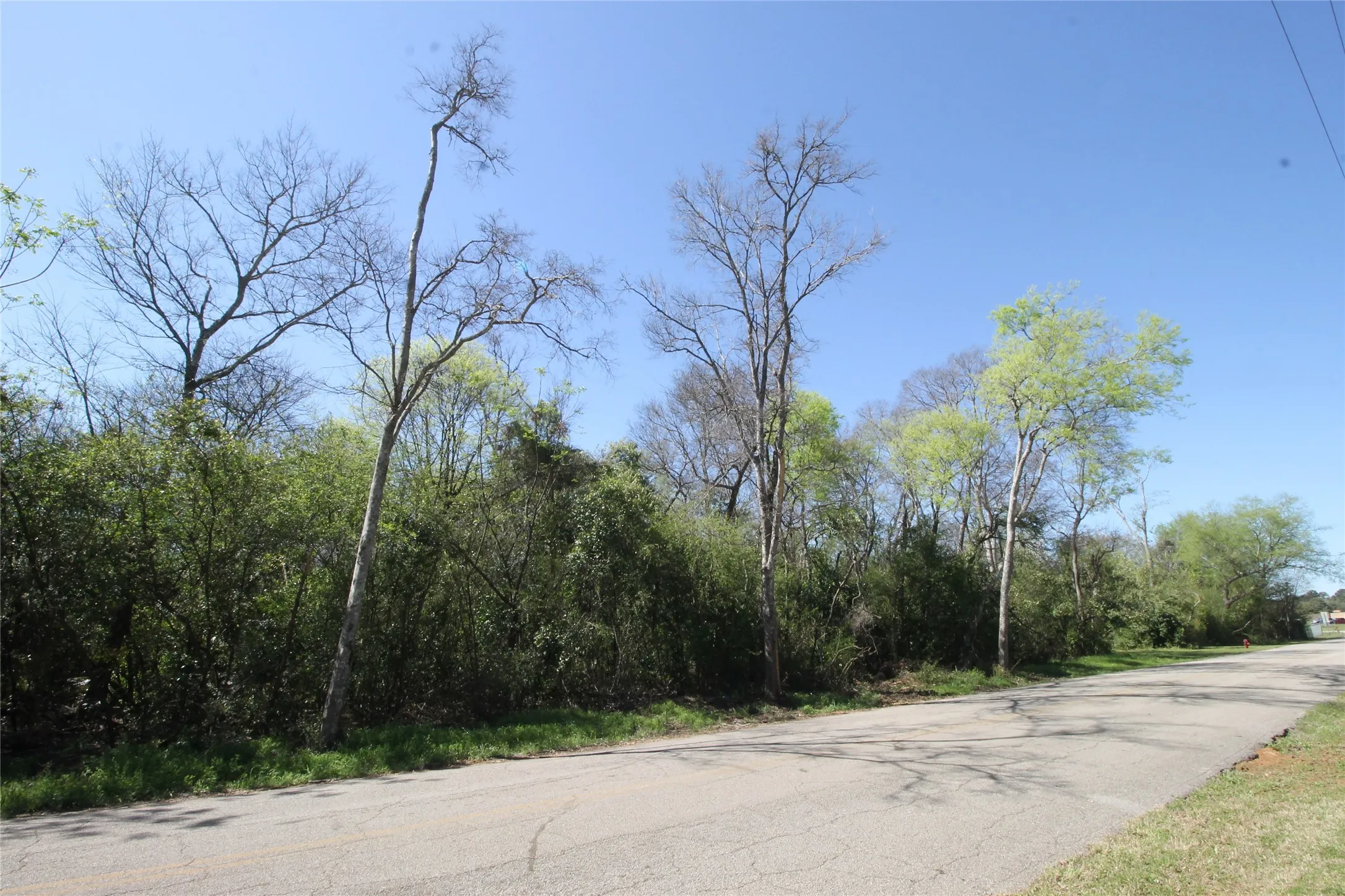 Unimproved Land For Sale in Cherokee County , 600 Block Brady Street, Jacksonville, Texas 75766, 0, 0, Garage spaces, 0 Sqft, built in 0, mls#21268398, Real Estate Agent in Jacksonville, Homes For Sale in Cherokee county, Homes For Sale in Jacksonville, Realtor in Jacksonville Texas, Real Estate Brokerage Independent Realty Texas, Luminita Cordes Realtor