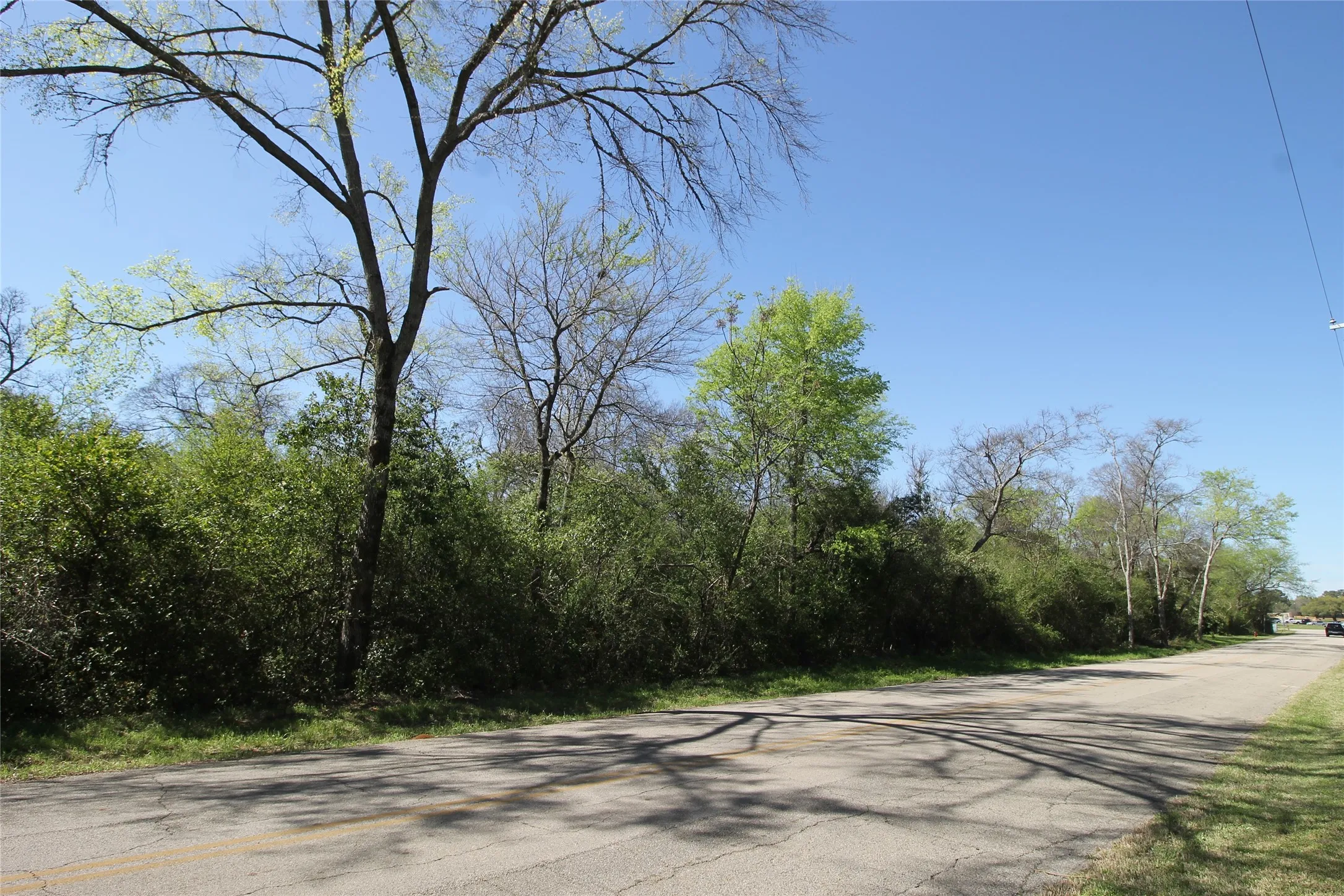 Unimproved Land For Sale in Cherokee County , 600 Block Brady Street, Jacksonville, Texas 75766, 0, 0, Garage spaces, 0 Sqft, built in 0, mls#21268398, Real Estate Agent in Jacksonville, Homes For Sale in Cherokee county, Homes For Sale in Jacksonville, Realtor in Jacksonville Texas, Real Estate Brokerage Independent Realty Texas, Luminita Cordes Realtor