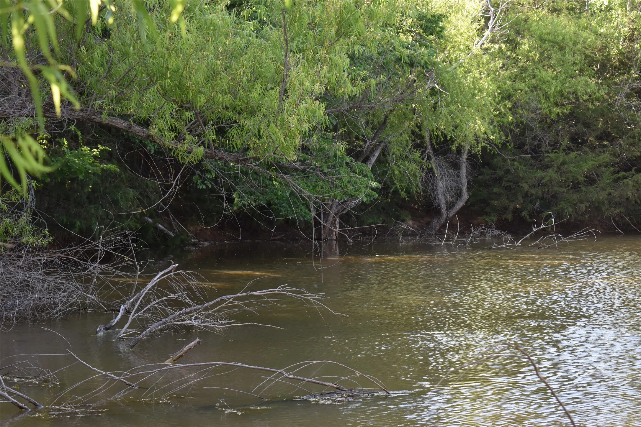 Unimproved Land For Sale in Wise County , 0000 Pine Street, Alvord, Texas 76225, 0, 0, Garage spaces, 0 Sqft, built in 0, Price $345,000, mls#21268604, Real Estate Agent in Alvord, Homes For Sale in Wise county, Homes For Sale in Alvord, Realtor in Alvord Texas, Real Estate Brokerage Independent Realty Texas, Luminita Cordes Realtor