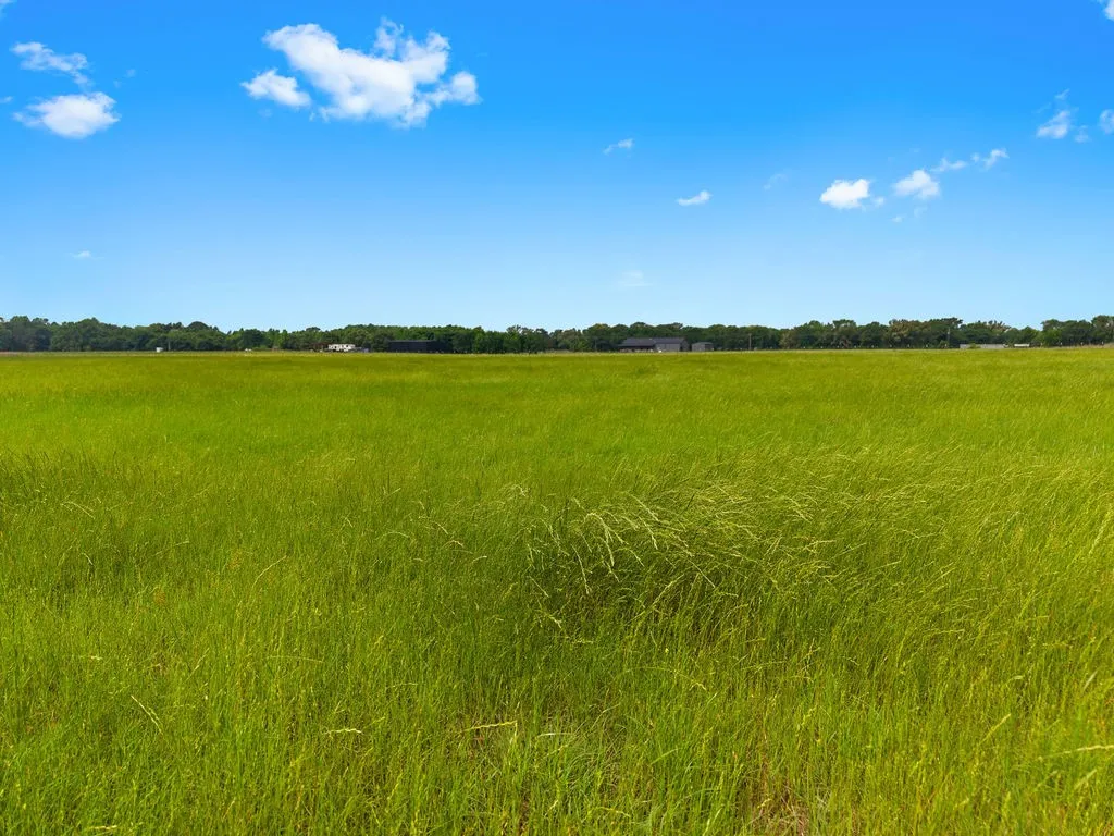 Unimproved Land For Sale in Van Zandt County , 269 VZ County Road 4305, Ben Wheeler, Texas 75754, 0, 0, Garage spaces, 0 Sqft, built in 0, mls#21269332, Real Estate Agent in Ben Wheeler, Homes For Sale in Van Zandt county, Homes For Sale in Ben Wheeler, Realtor in Ben Wheeler Texas, Real Estate Brokerage Independent Realty Texas, Luminita Cordes Realtor