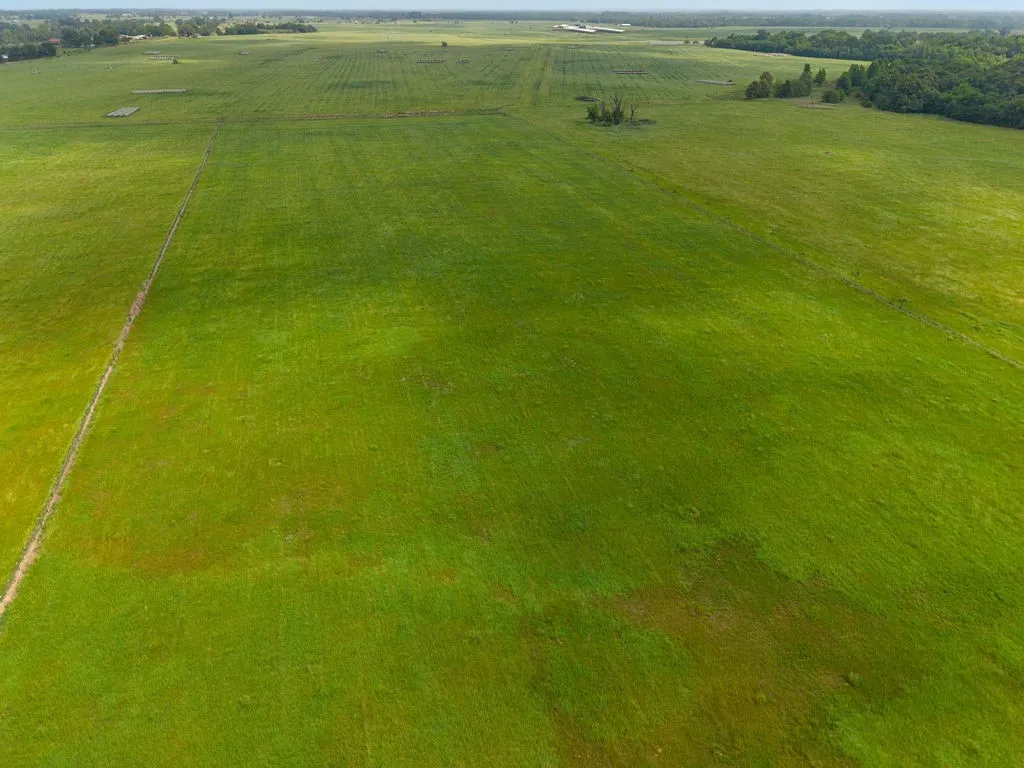 Unimproved Land For Sale in Van Zandt County , 269 VZ County Road 4305, Ben Wheeler, Texas 75754, 0, 0, Garage spaces, 0 Sqft, built in 0, mls#21269332, Real Estate Agent in Ben Wheeler, Homes For Sale in Van Zandt county, Homes For Sale in Ben Wheeler, Realtor in Ben Wheeler Texas, Real Estate Brokerage Independent Realty Texas, Luminita Cordes Realtor