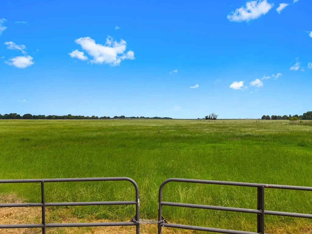 Unimproved Land For Sale in Van Zandt County , 269 VZ County Road 4305, Ben Wheeler, Texas 75754, 0, 0, Garage spaces, 0 Sqft, built in 0, mls#21269332, Real Estate Agent in Ben Wheeler, Homes For Sale in Van Zandt county, Homes For Sale in Ben Wheeler, Realtor in Ben Wheeler Texas, Real Estate Brokerage Independent Realty Texas, Luminita Cordes Realtor