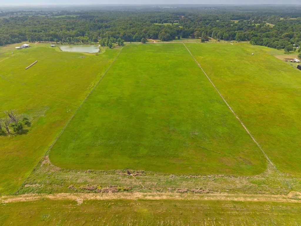 Unimproved Land For Sale in Van Zandt County , 269 VZ County Road 4305, Ben Wheeler, Texas 75754, 0, 0, Garage spaces, 0 Sqft, built in 0, mls#21269332, Real Estate Agent in Ben Wheeler, Homes For Sale in Van Zandt county, Homes For Sale in Ben Wheeler, Realtor in Ben Wheeler Texas, Real Estate Brokerage Independent Realty Texas, Luminita Cordes Realtor