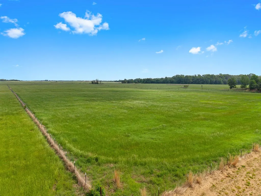 Unimproved Land For Sale in Van Zandt County , 269 VZ County Road 4305, Ben Wheeler, Texas 75754, 0, 0, Garage spaces, 0 Sqft, built in 0, mls#21269332, Real Estate Agent in Ben Wheeler, Homes For Sale in Van Zandt county, Homes For Sale in Ben Wheeler, Realtor in Ben Wheeler Texas, Real Estate Brokerage Independent Realty Texas, Luminita Cordes Realtor