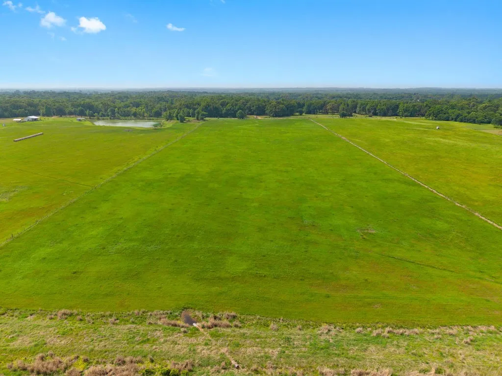 Unimproved Land For Sale in Van Zandt County , 269 VZ County Road 4305, Ben Wheeler, Texas 75754, 0, 0, Garage spaces, 0 Sqft, built in 0, mls#21269332, Real Estate Agent in Ben Wheeler, Homes For Sale in Van Zandt county, Homes For Sale in Ben Wheeler, Realtor in Ben Wheeler Texas, Real Estate Brokerage Independent Realty Texas, Luminita Cordes Realtor